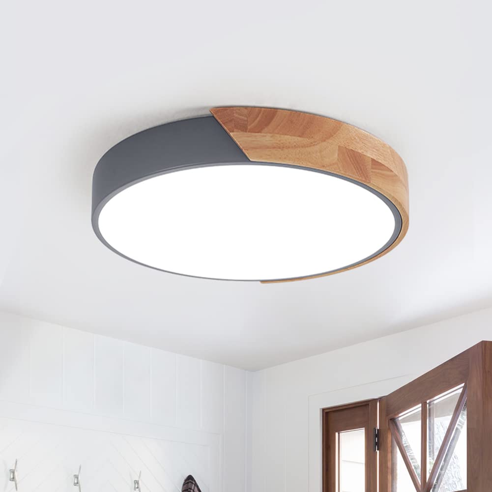 Goomavi Modern LED Ceiling Light Fixture - 11.8