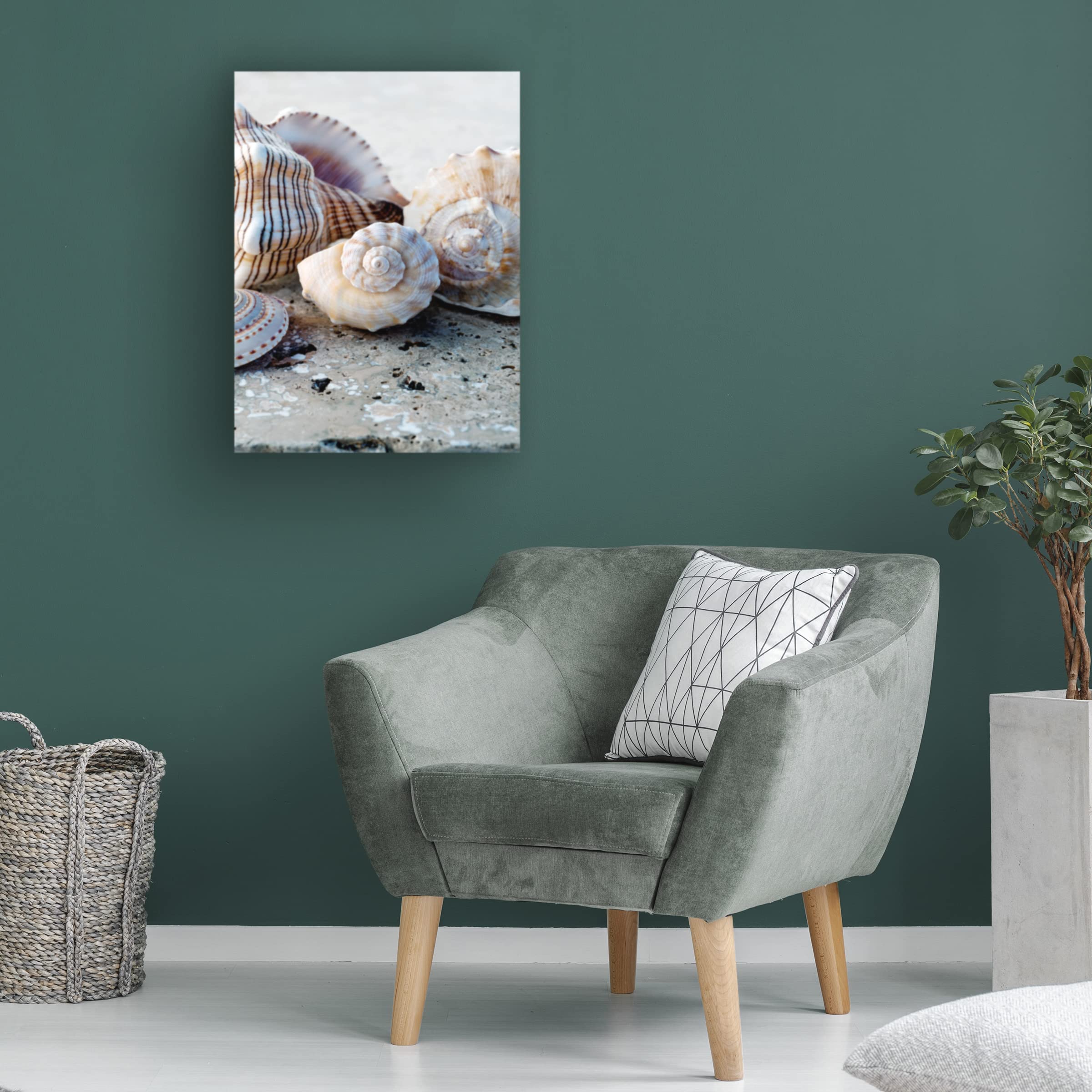 Elena Ray 'Gifts Of The Shore I' Canvas Wall Art Print - Coastal Beach Decor for Living Room, Bedroom & Office - Trademark Fine Art Collection