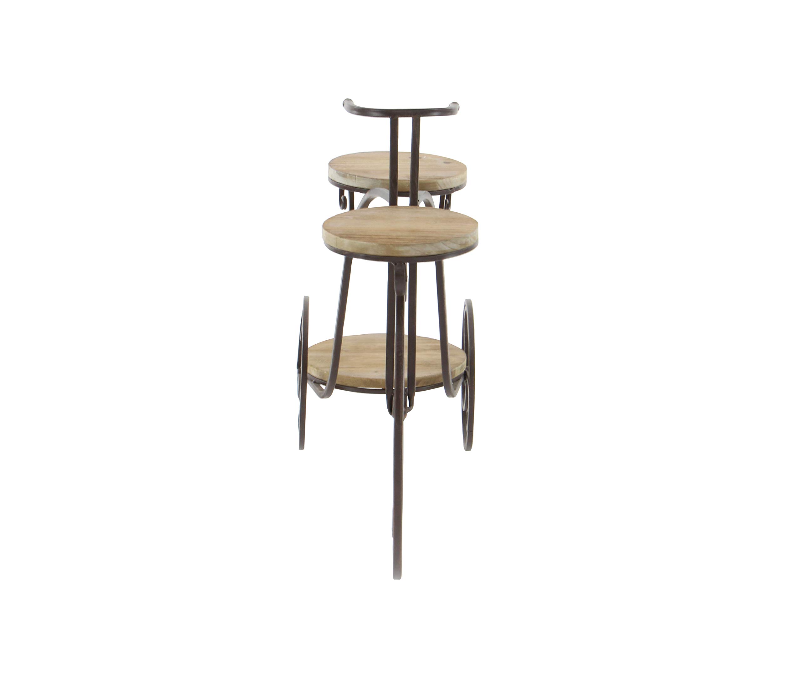 Deco 79 2-Tier Metal Bike Wall Shelf - Indoor Outdoor Plant Stand for Home & Garden Decor, 31