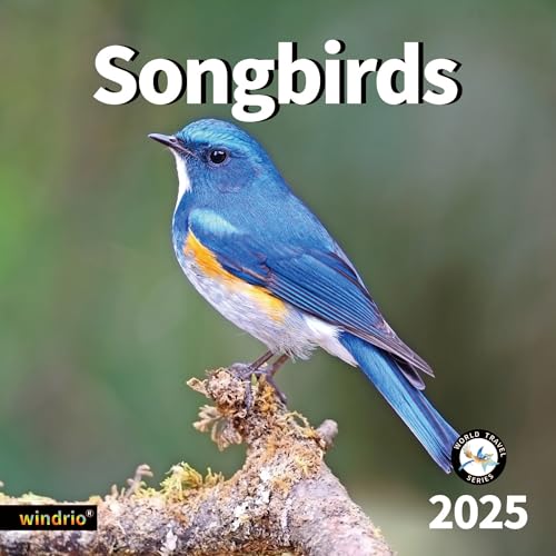 SONG BIRDS