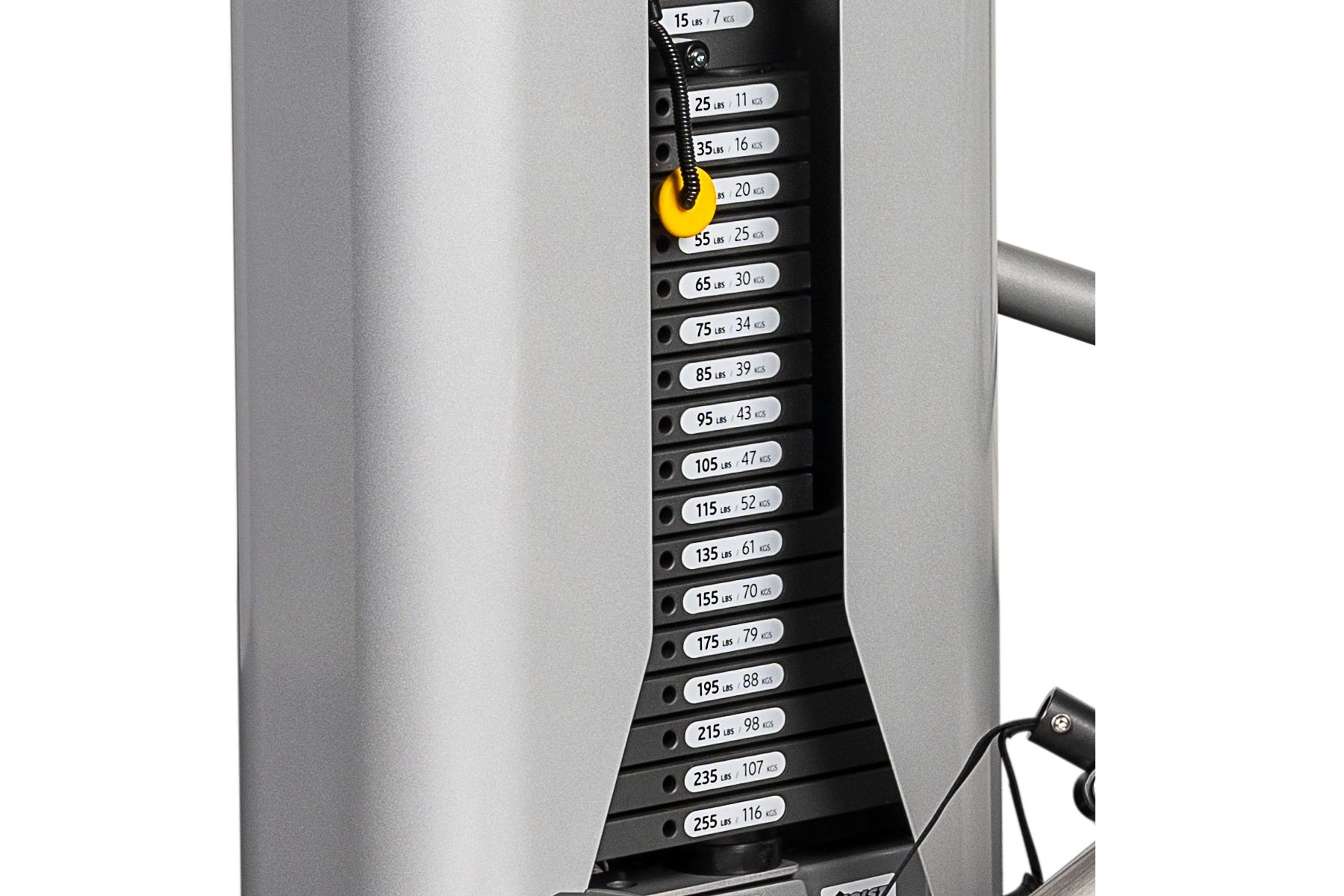 Hoist ROC IT Biceps Curl Machine (RS 2102) - Professional Gym Equipment for Arm Workouts - Perfect for Home & Commercial Gyms
