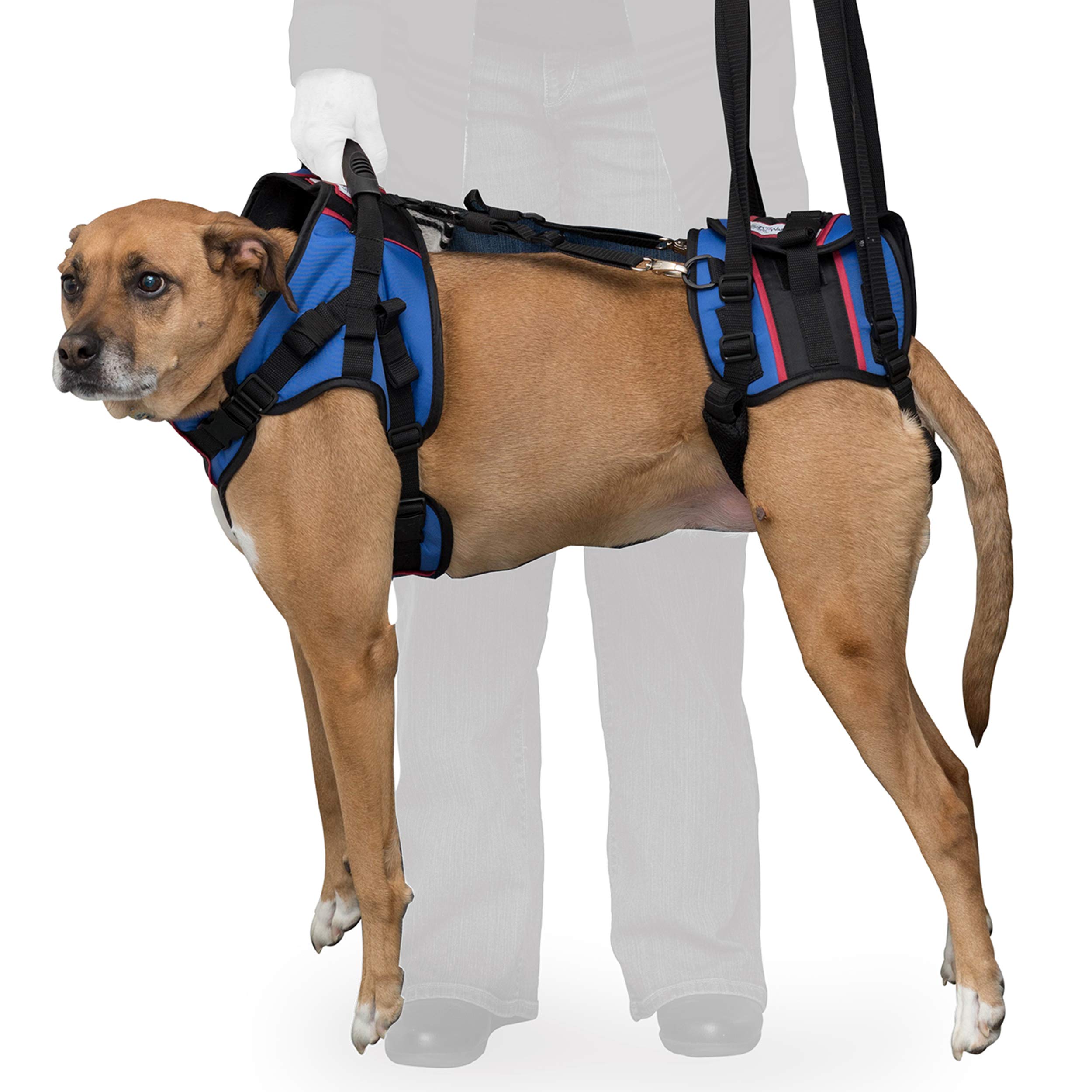 Best Full Support Dog Harness for Large Dogs 70+ lbs - Lift Assist Harness for Senior Dogs, Pets with Arthritis & Post-Surgery Recovery | Ideal for Walking, Rehabilitation & Mobility Assistance