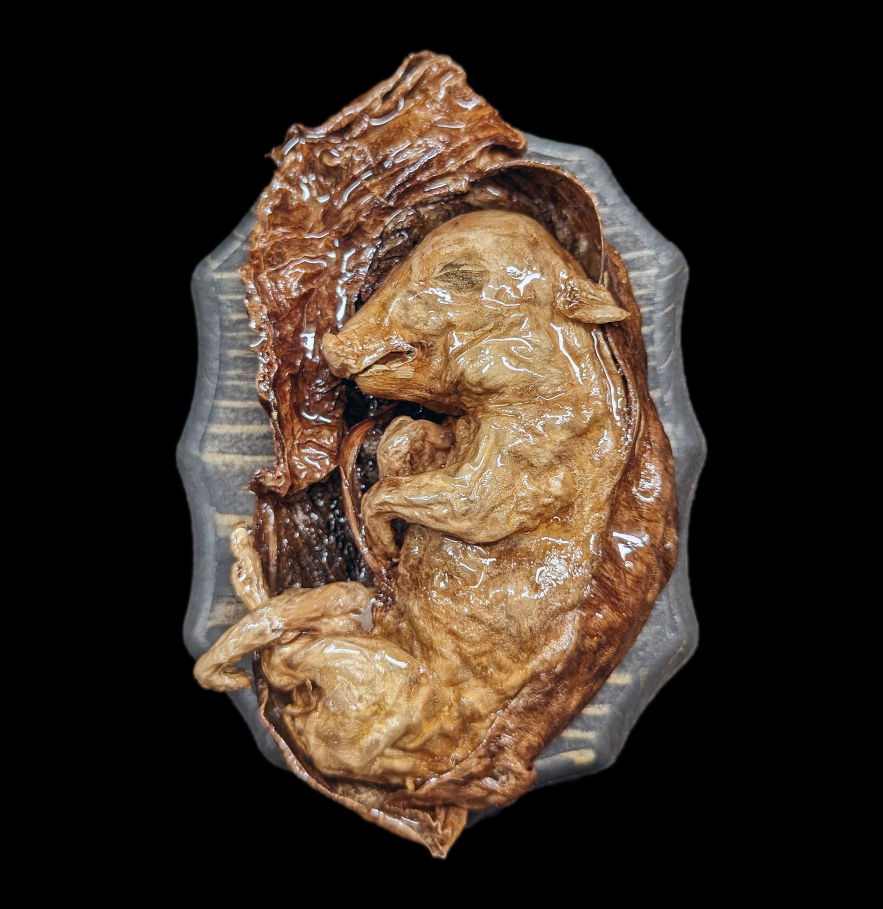 High-Quality Dissected Fetal Pigs in Uterus Specimen - Perfect for Biology Classrooms, Medical Studies & Veterinary Training
