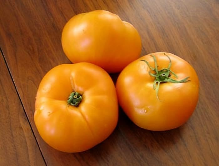 Seed Kingdom Bulk 4,000 Tomato Jubilee Heirloom Seeds - Non-GMO, Great for Home Garden, Canning & Fresh Eating - Premium Vegetable Seeds for Planting Outdoors & Greenhouses