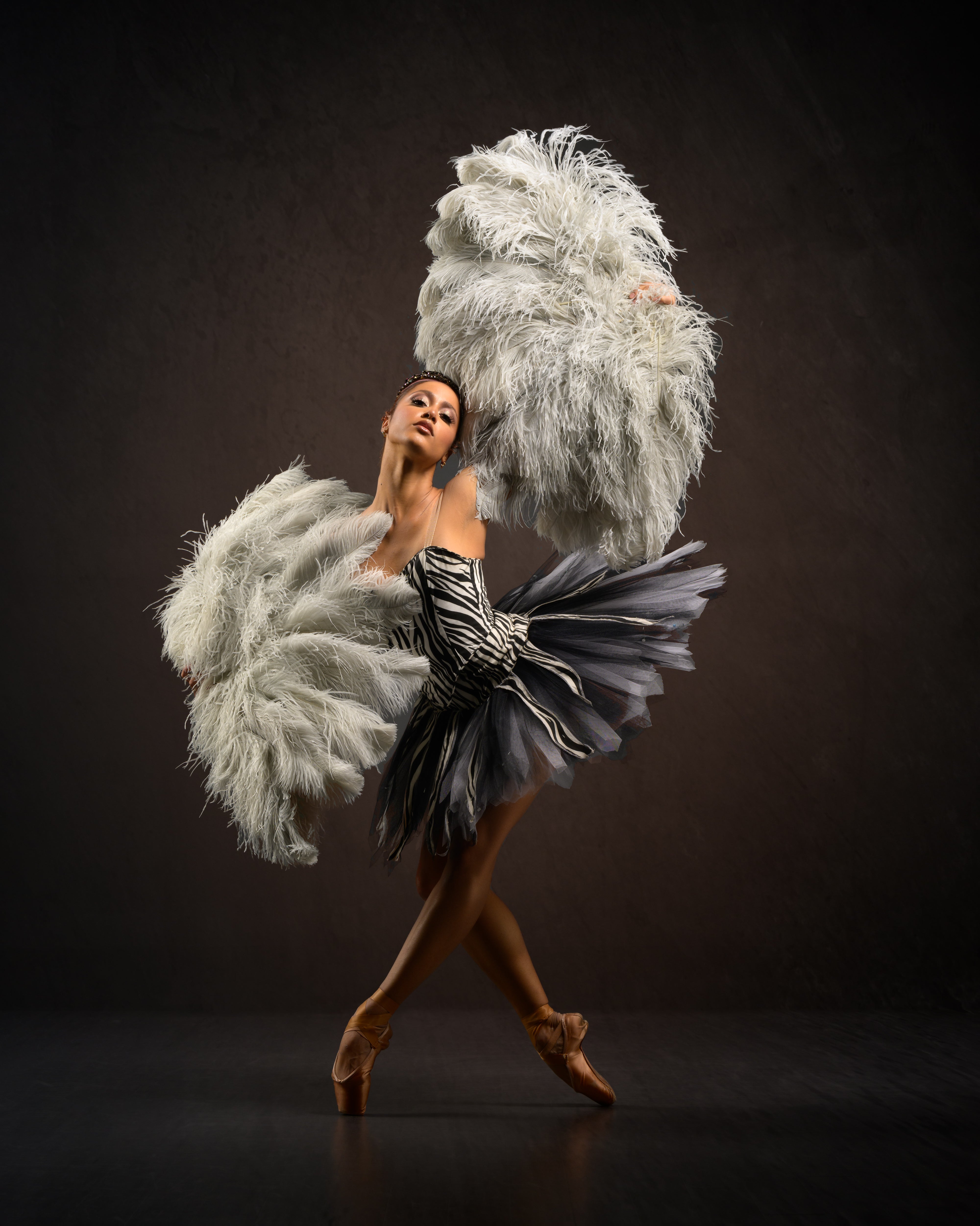 Professional Tutu & Costume Design Consulting Services | Zoom Group Meetings for Custom Costume Design | Perfect for Ballet, Dance Performances & Theatrical Productions
