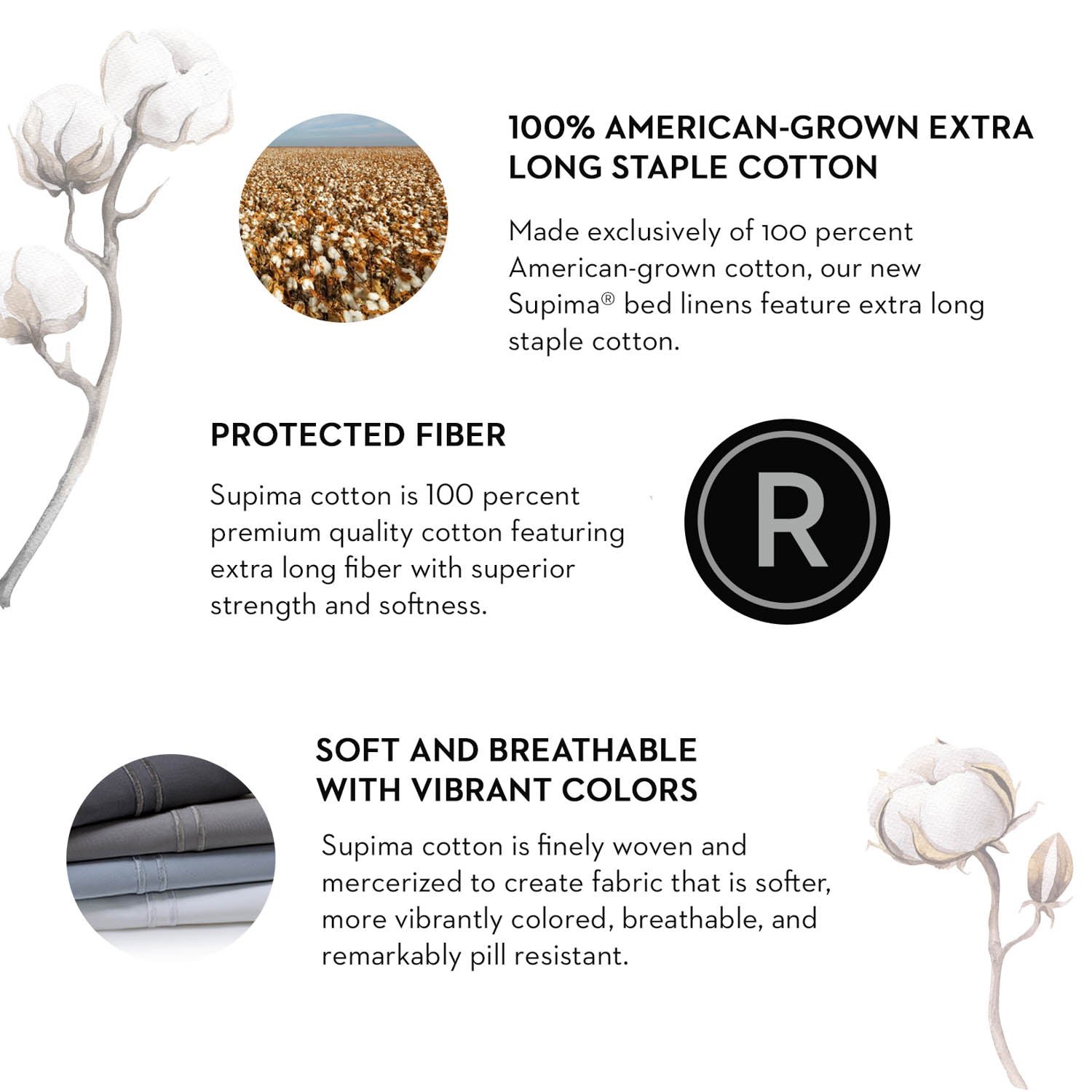 Premium Supima Cotton Sheets by Malouf - Ultra Soft & Breathable Bed Sheets for a Comfortable Night's Sleep - Perfect for Master Bedrooms, Guest Rooms & Luxury Hotels
