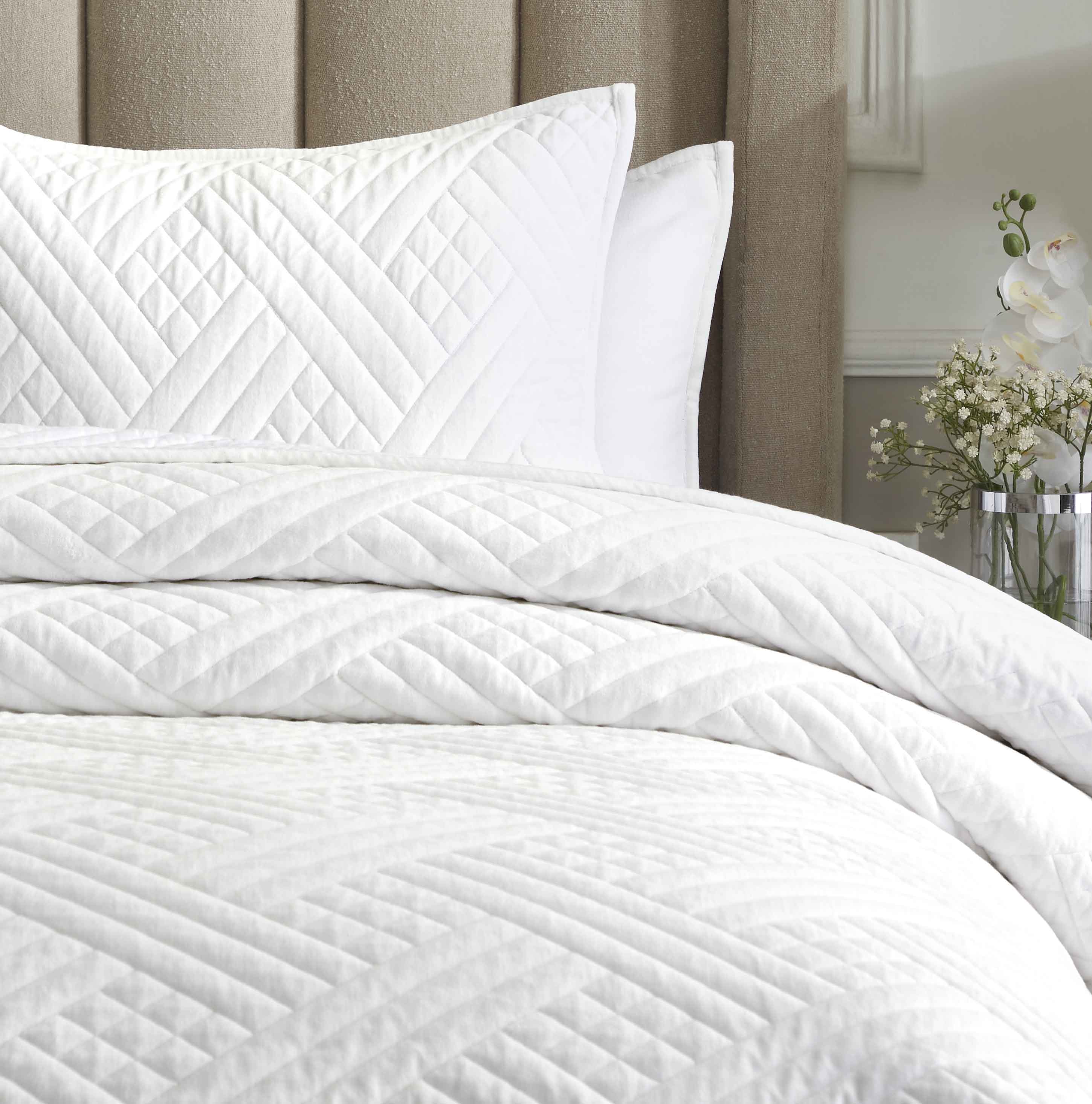 Karina Cotton Velvet Lightweight Quilt & Sham Set - Ultra Soft Bedding for All Seasons | Perfect for Master Bedroom, Guest Room & Cozy Nights