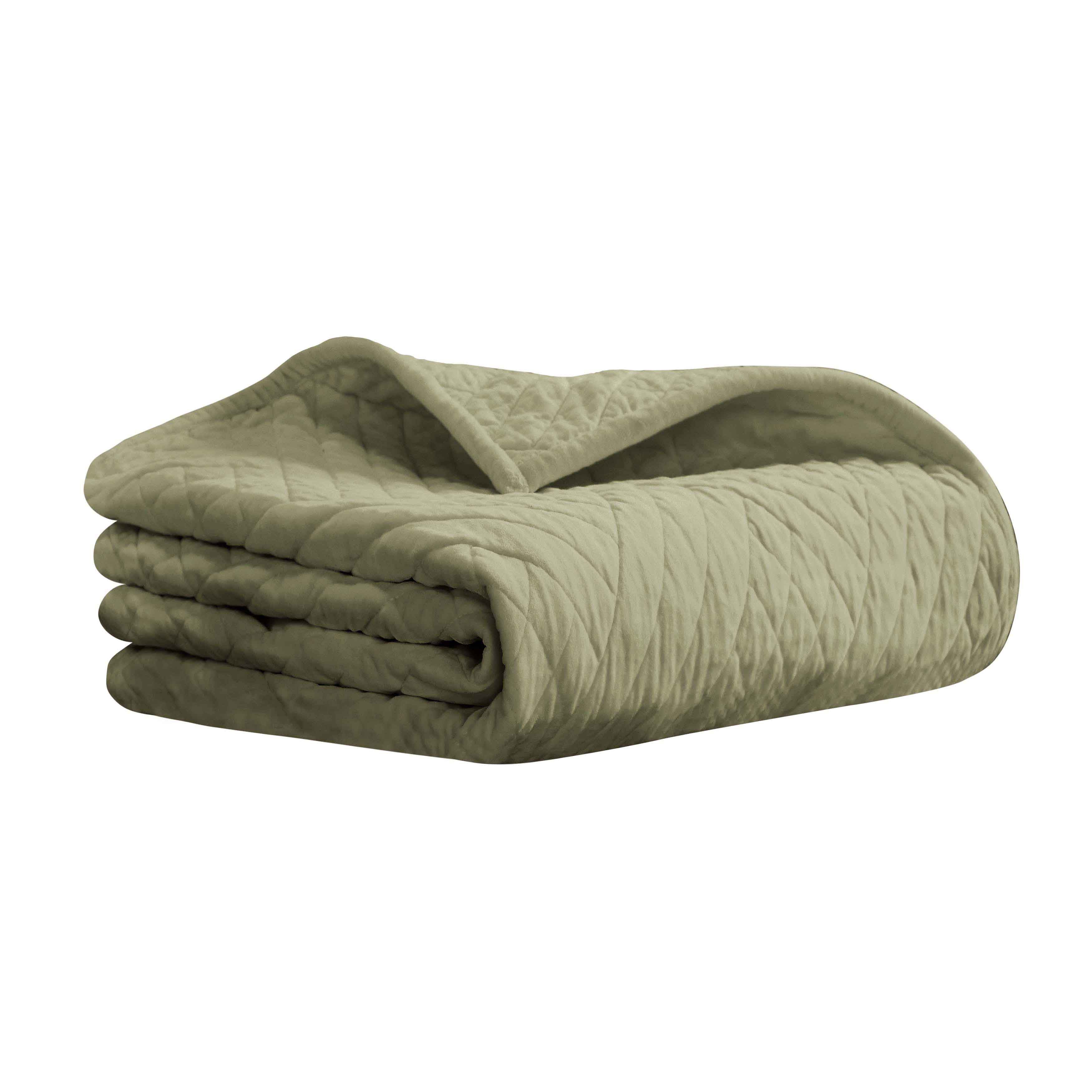 Karina Cotton Velvet Lightweight Quilt & Sham Set - Ultra Soft Bedding for All Seasons | Perfect for Master Bedroom, Guest Room & Cozy Nights