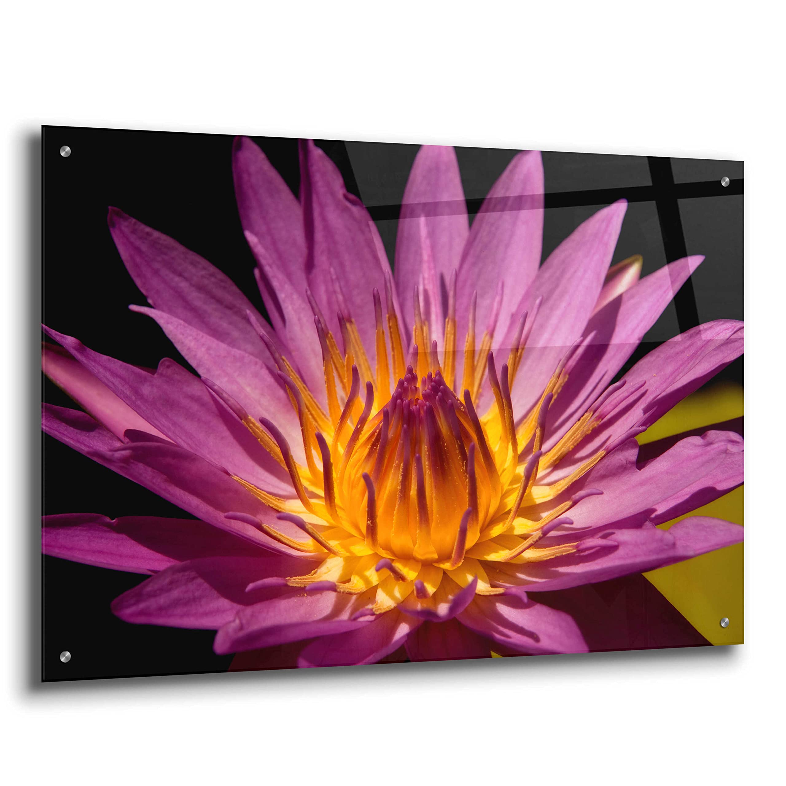 Mike Jones Fairchild Gardens Lily Acrylic Glass Wall Art - 36x24 Inches Modern Canvas Painting for Living Room, Bedroom & Office Decor