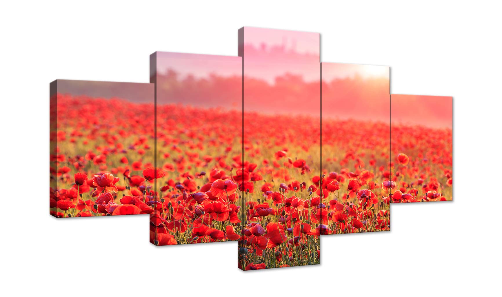 AMEMNY Yellow Grey Red Poppy Floral Canvas Painting - 5 Panel Landscape Flower Artwork, Framed Wall Decor for Living Room, Bedroom & Bathroom - Ready to Hang Home Decor for Modern & Farmhouse Interiors