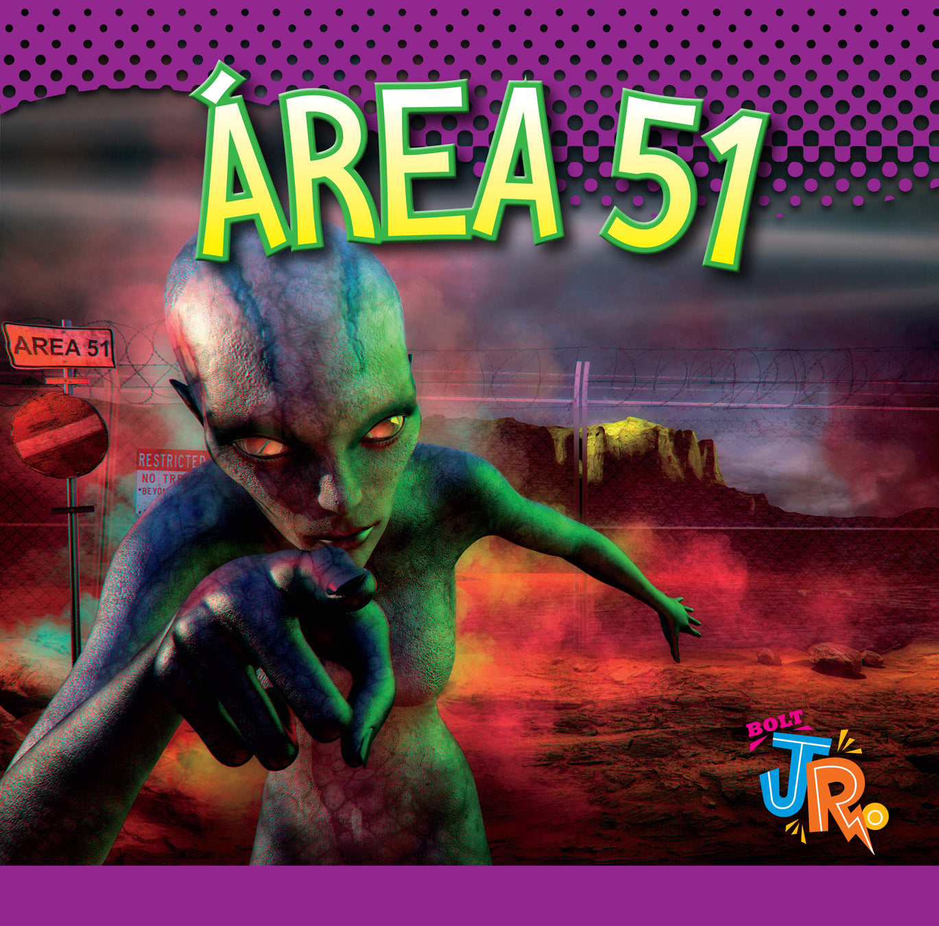 Area 51: The Secret History Book 9781623105280 - UFO Conspiracy Theories & Government Cover-Ups for History Buffs & Mystery Enthusiasts