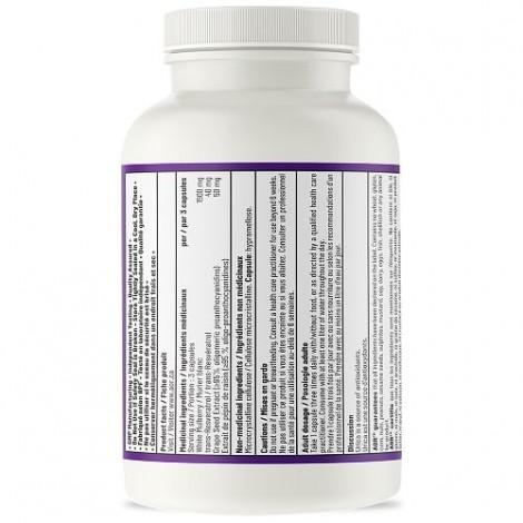 Aor Urica 90 Capsules - Premium Joint Support Supplement for Pain Relief & Mobility - Ideal for Active Lifestyles & Arthritis Relief
