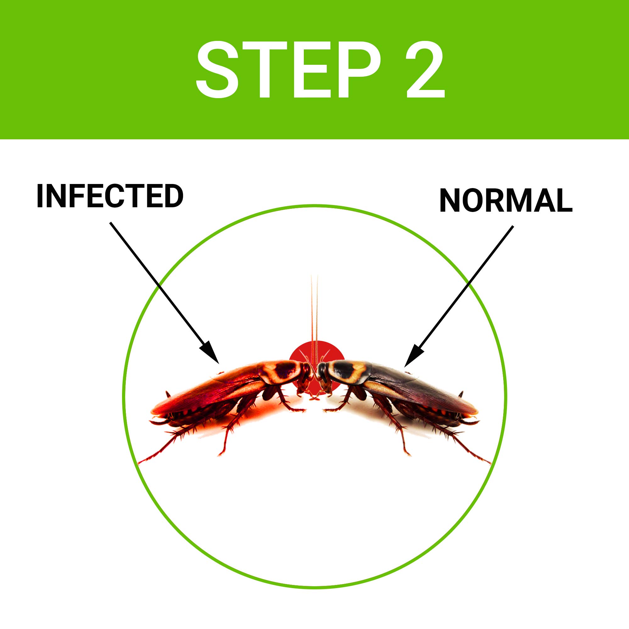 Anti Cockroach Gel Bait with Neem Extract (40g) - Powerful Roach Killer for Home & Kitchen - Easy-to-Use Injection Formula for Effective Pest Control | Ideal for Apartments, Restaurants & Food Storage Areas