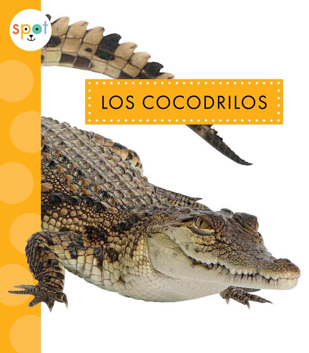 Crocodile Print Fashion Accessories & Clothing - Trendy Animal Print Style for Women & Men | Perfect for Casual Wear, Parties, and Unique Outfits