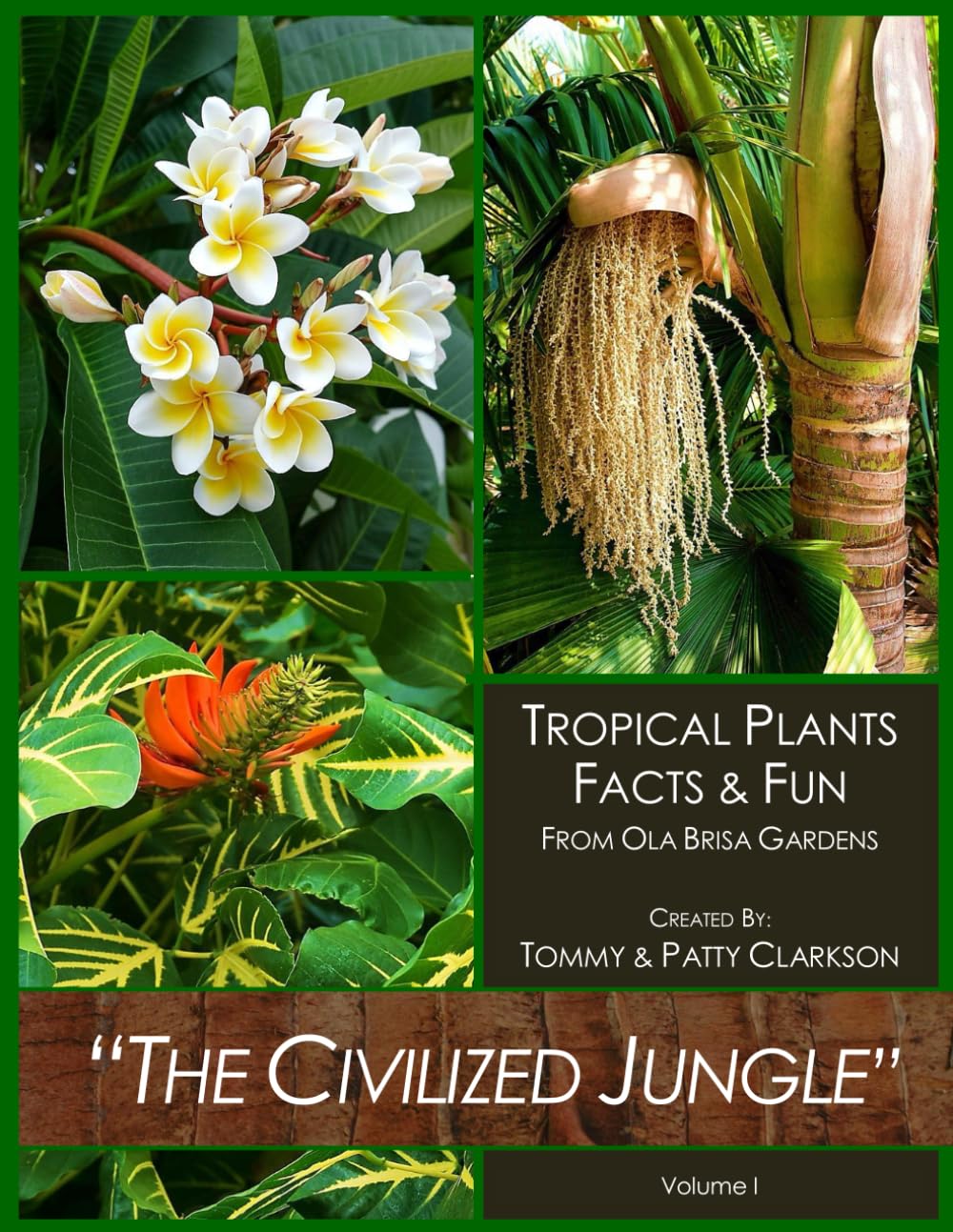 Tropical Plants Guide: Fascinating Facts & Care Tips from Ola Brisa Gardens | Perfect for Home Decor, Office Spaces & Indoor Gardening