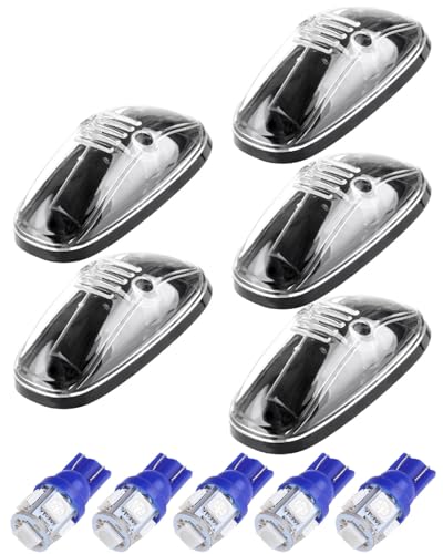 Clear Len Blue Bulbs