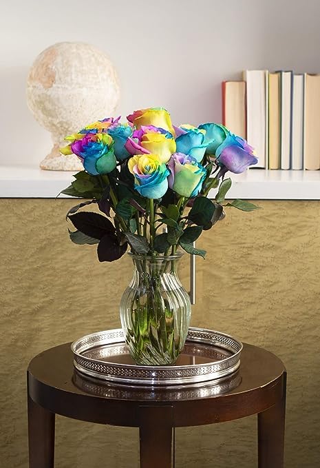 Premium 12 Rainbow Roses Bouquet with Glass Vase - Fresh Cut Flowers for Birthday, Anniversary, Valentine's Day, Mother's Day, Sympathy, Get Well & Thank You Gifts - Perfect for Home Decor, Wedding Centerpieces & Romantic Surprises