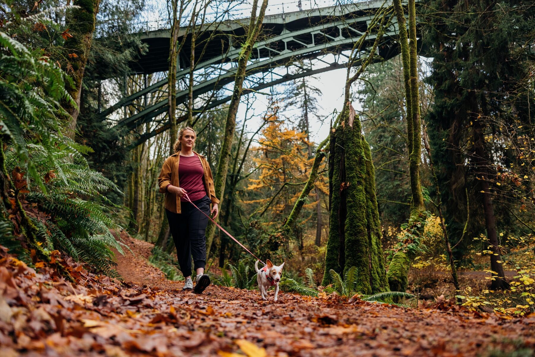 Ruffwear Hi & Light® Ultralight Dog Harness - Blue Dusk | Adjustable & Breathable for Hiking, Running & Outdoor Adventures