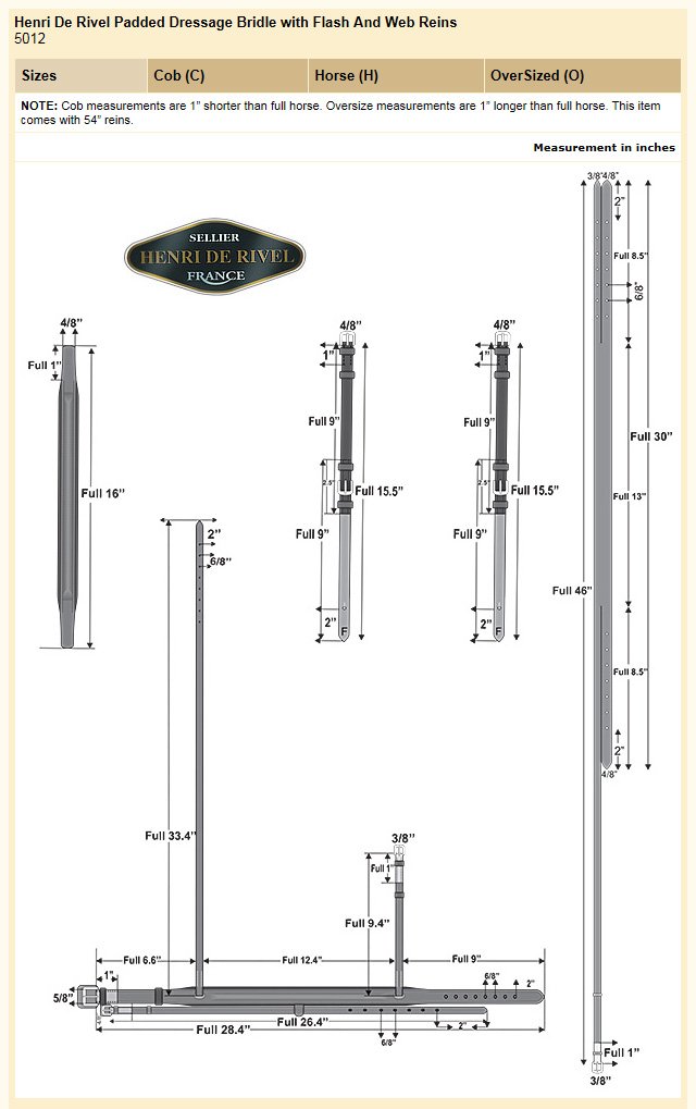 Henri de Rivel Padded Dressage Bridle with Flash & Web Reins - Premium Equestrian Gear for Dressage Training & Horse Shows