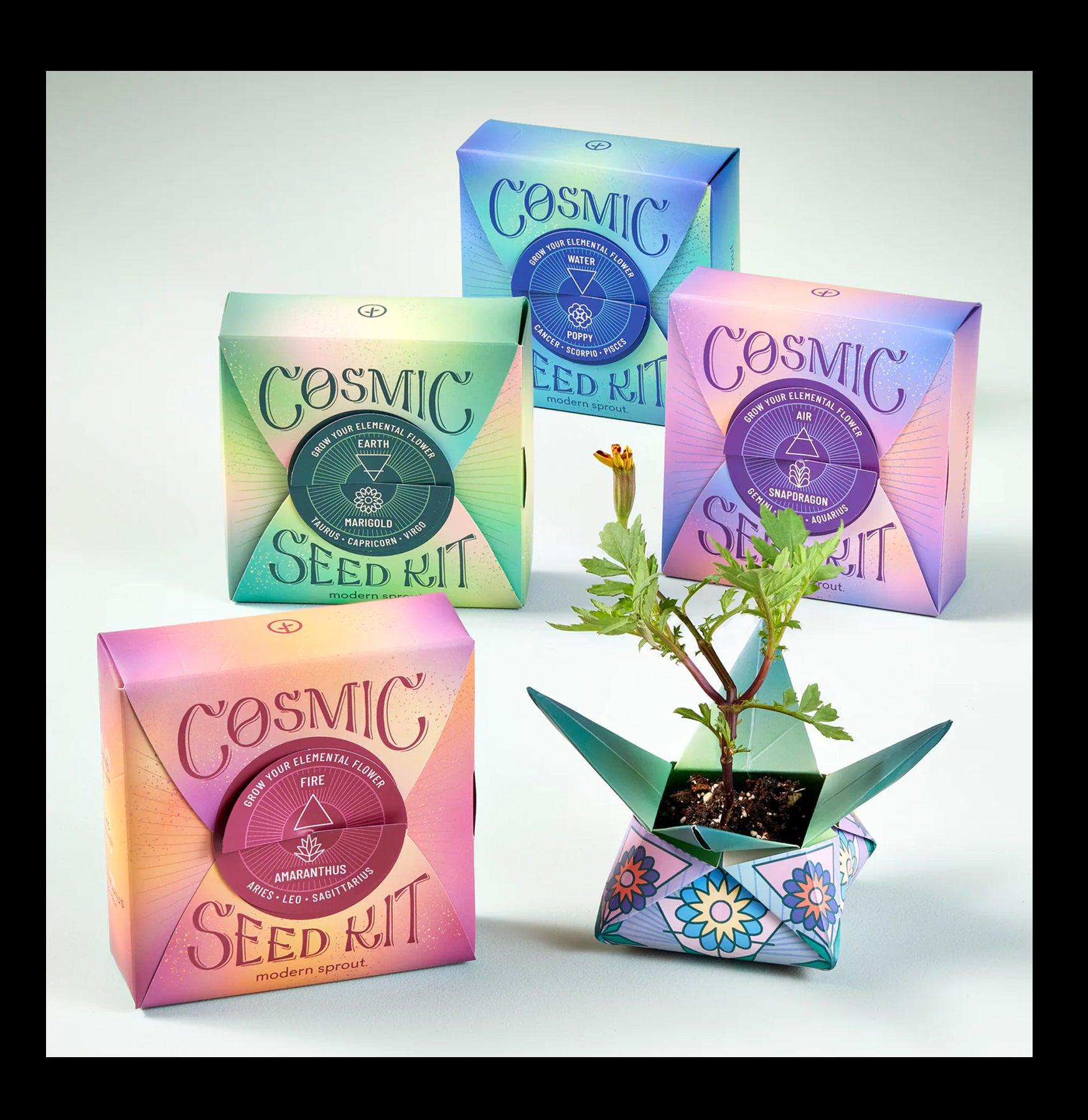 Cosmic Seed Kit - Grow Your Own Space-Themed Garden | Perfect for Kids, Science Projects & Home Decor
