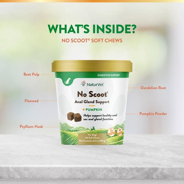 NaturVet No Scoot Plus Pumpkin Soft Chews for Dogs - Digestive Support & Anal Gland Relief - Perfect for Small & Large Breeds at Home or Travel