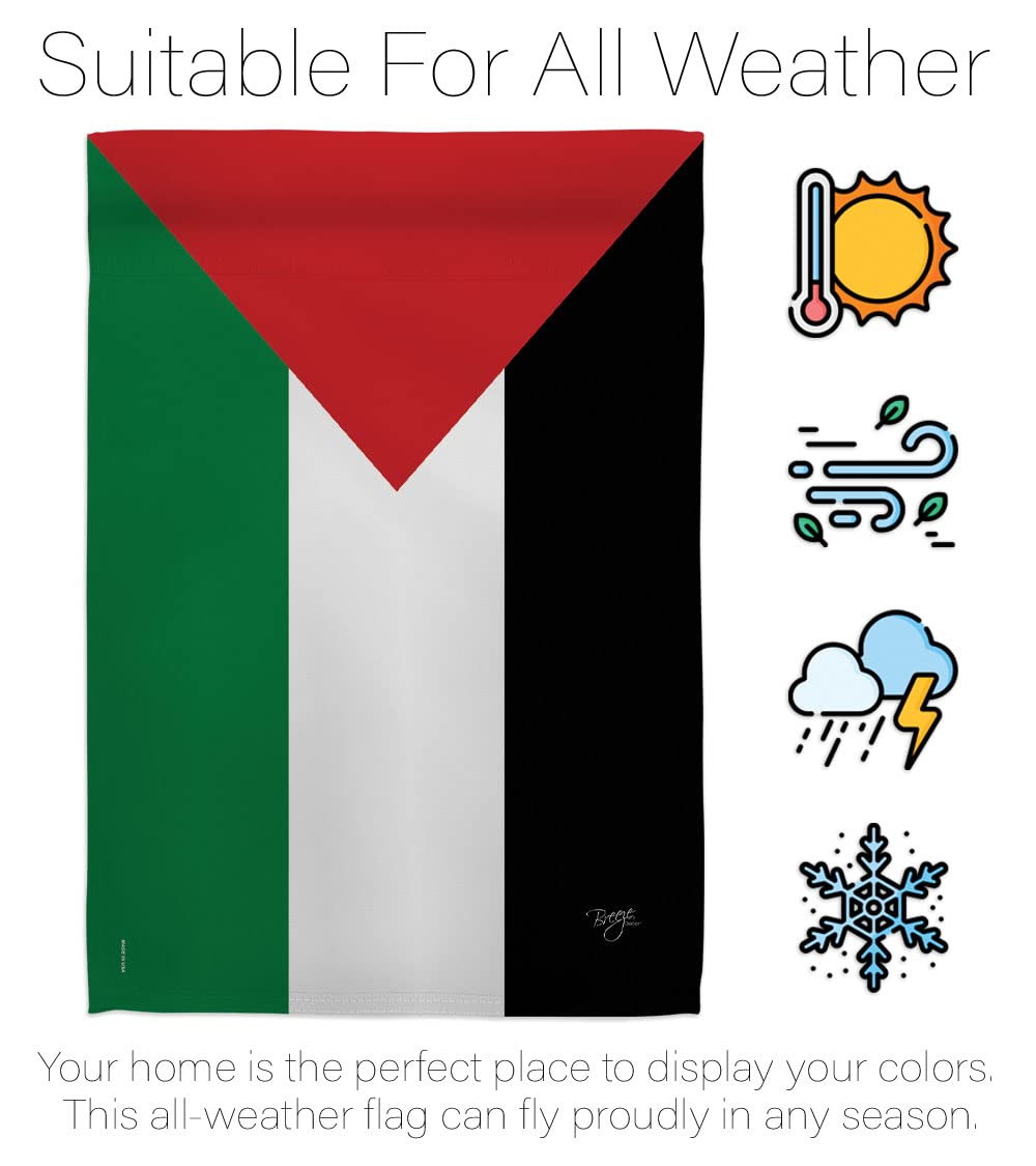 Palestine National Flag 28
