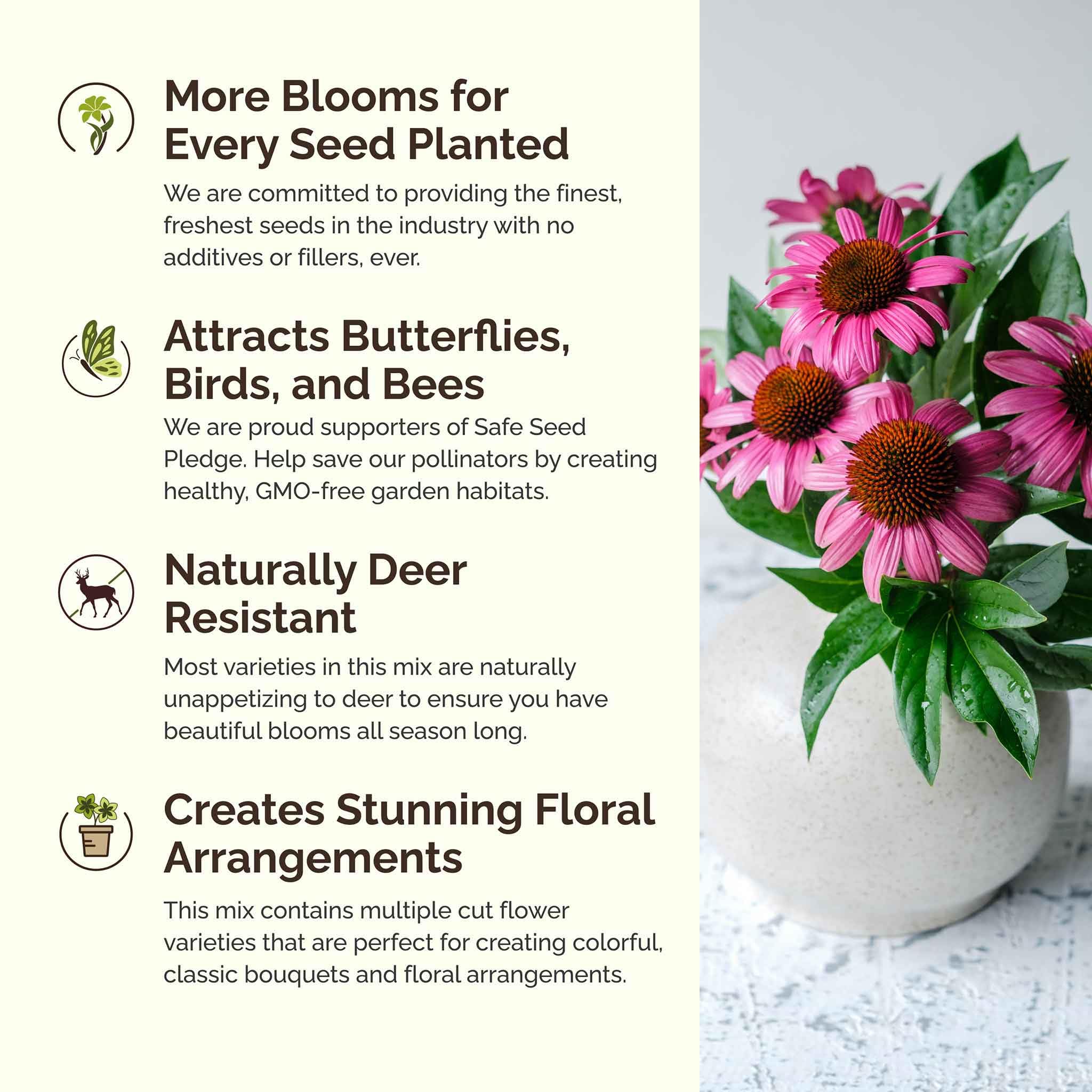 Eden Brothers Deer Resistant Wildflower Seeds Mix - 1/4 lb (120,000+ Seeds) with Sweet William | Perennial Flower Seeds for Planting | Attracts Bees, Butterflies & Pollinators | Spring & Fall Planting | Zones 3-10 | Perfect for Gardens, Meadows & Landscaping