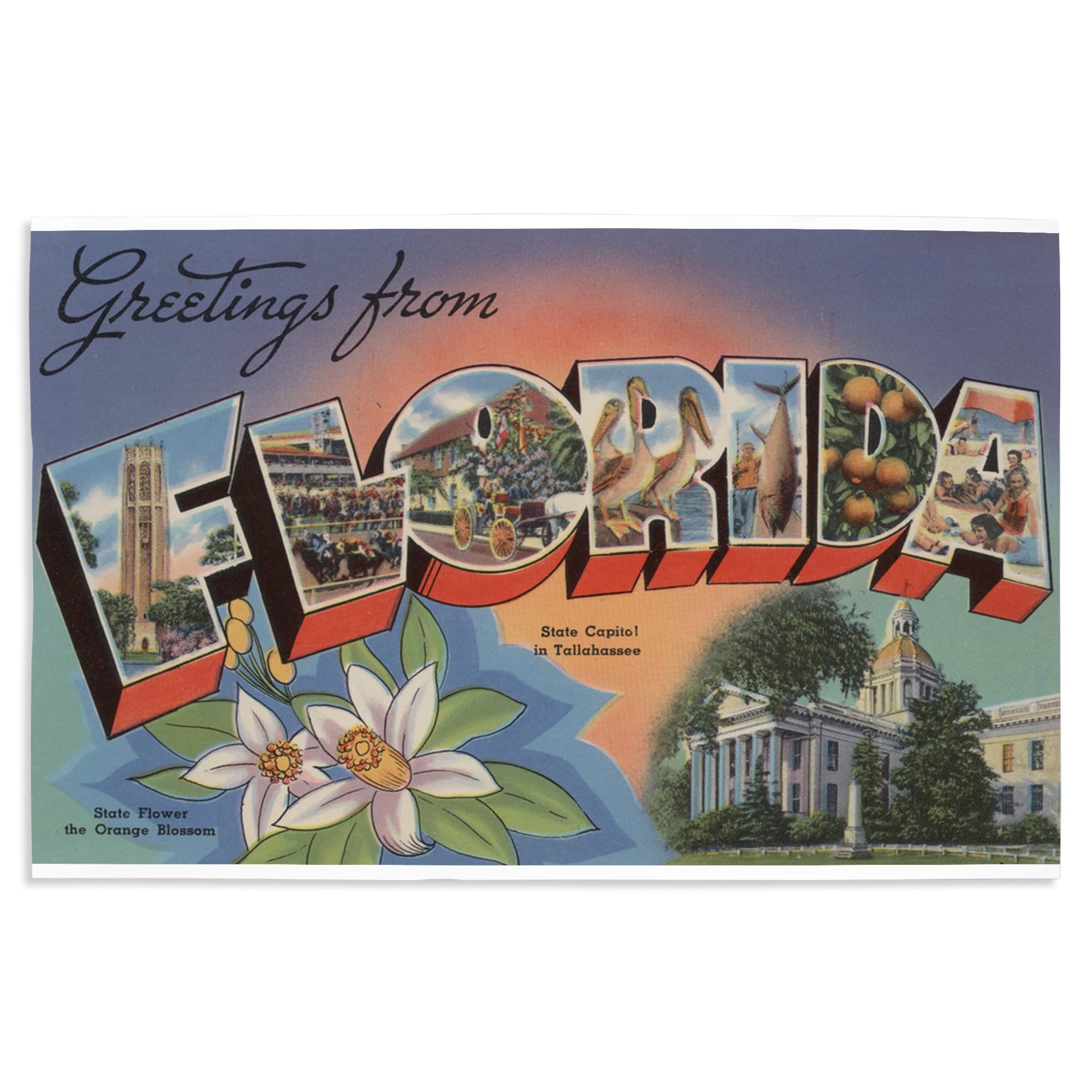 Lantern Press 16x24 Inch Giclee Art Print - Greetings from Florida with State Capital Background | Vintage Travel Poster for Home Decor, Office Wall Art & Florida Souvenir Gift