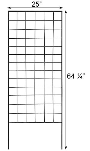 American GardenWorks 64