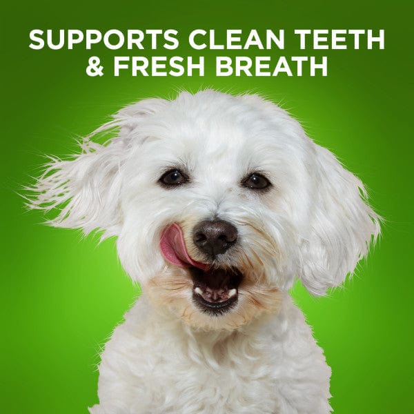 Fruitables Bioactive Fresh Mouth Dental Chews for Dogs - Natural Dog Breath Freshener & Teeth Cleaner - Vet Recommended Dental Treats for Small, Medium & Large Breeds - Perfect for Daily Oral Care & Fresh Breath