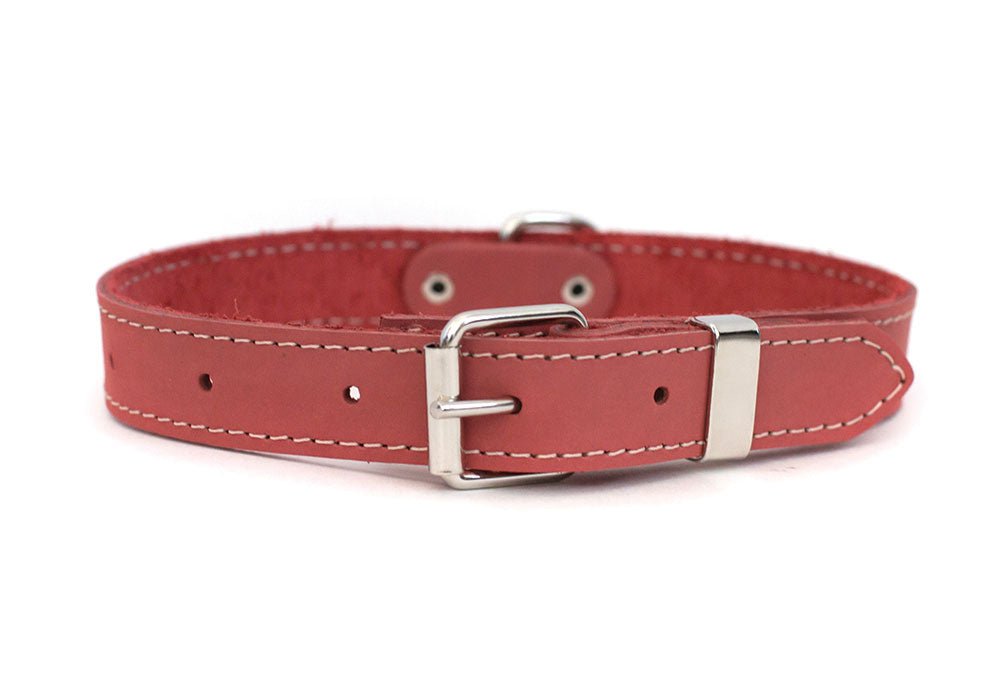 Premium Coral Leather Dog Collar with Traditional Buckle - Durable & Stylish Pet Accessory for Small to Medium Dogs - Perfect for Daily Walks, Training & Outdoor Adventures