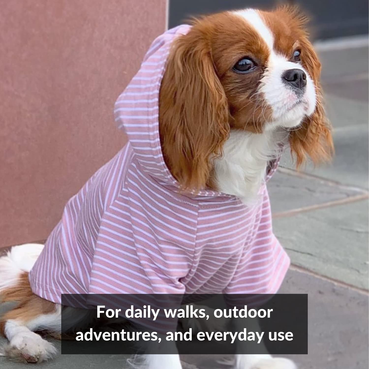 DJANGO Dog Hoodie - Soft & Stretchy Winter Sweater for Small Dogs & Dachshunds - Machine Washable Pet Hoodie with Elastic Waistband & Harness Hole - Cozy Blush Pink Dog Sweatshirt for Outdoor Walks & Indoor Lounging