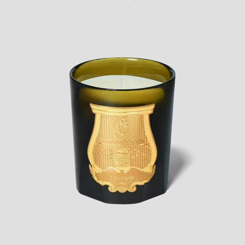 Cire Trudon Solis Rex Classic Scented Candle - Versailles Wooden Floors Fragrance | Luxury Home Decor for Living Room, Bedroom & Office | Premium Soy Wax Candle for Relaxation & Aromatherapy