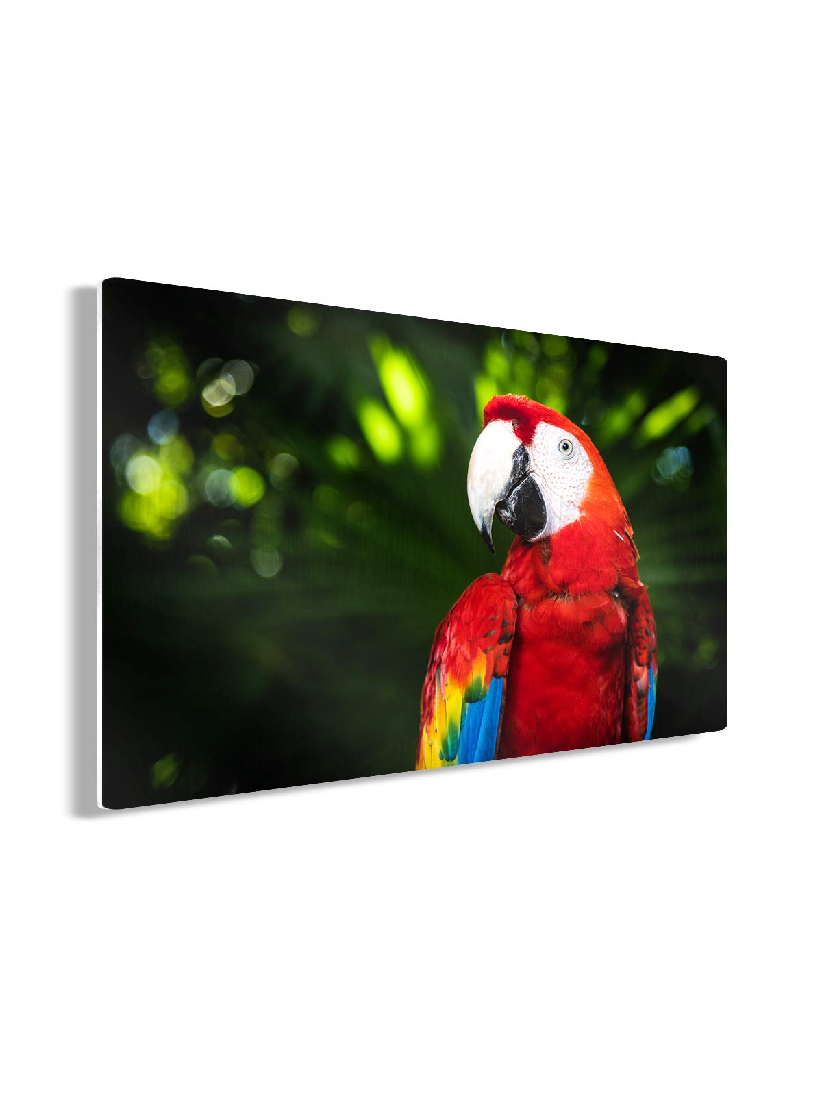 Vibrant Tropical Birds Metal Wall Art Print - 30