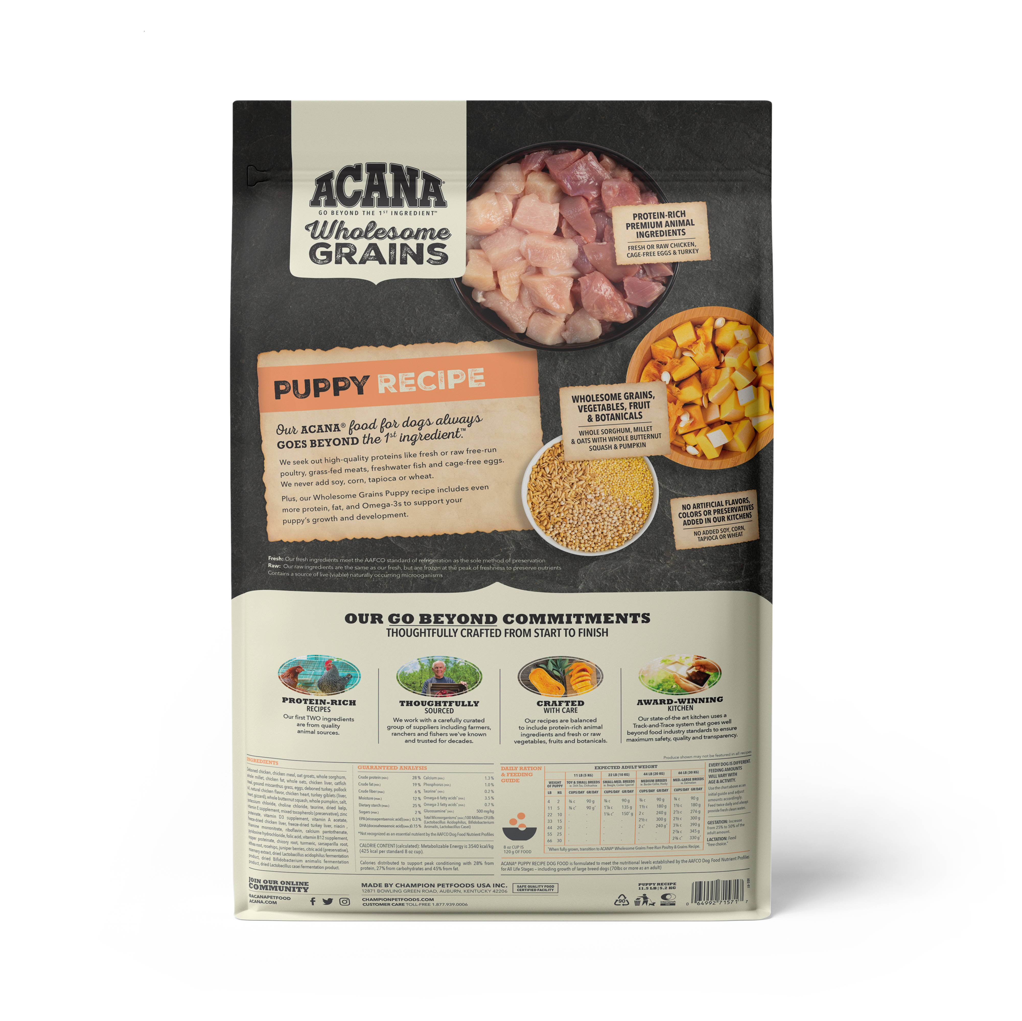 Acana Puppy Recipe Dry Dog Food with 60% Wholesome Grains - High Protein Grain-Inclusive Kibble for Growing Puppies | Perfect for Small & Medium Breed Puppy Nutrition at Home or Travel
