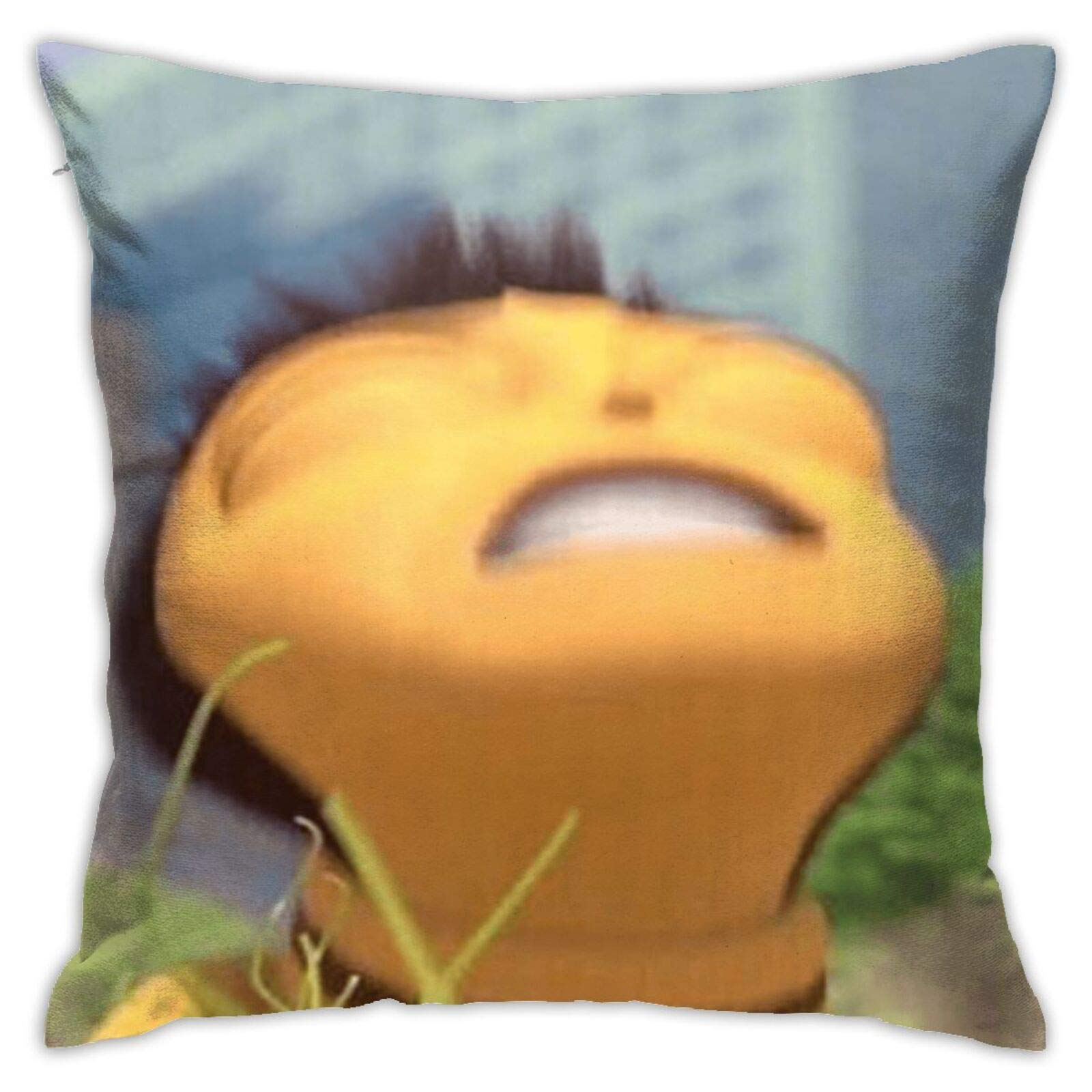Barry Benson Bee Movie Meme Honey Nut Cheerios Hoodie Pillowcases - Funny Cartoon Character Cushion Covers for Sofa, Floor, Car Interiors & Backrest - Perfect for Movie Nights, Gifts & Pop Culture Fans