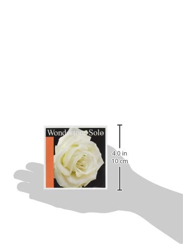 PIRASTRO Wondertone Solo 4104 4/4 Violin String G-Wire - Synthetic Core with Silver Winding for Professional Violinists | Perfect for Solo Performances & Orchestral Playing