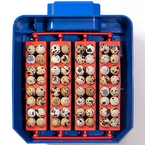 Premier 1 Supplies Borotto Lumia 16 Automatic Egg Incubator - Digital Poultry Hatcher with Temperature Control for Chicken, Duck & Quail Eggs - Perfect for Backyard Farming & Hobbyists