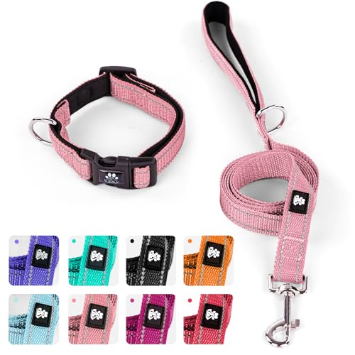 Pink Collar+Leash