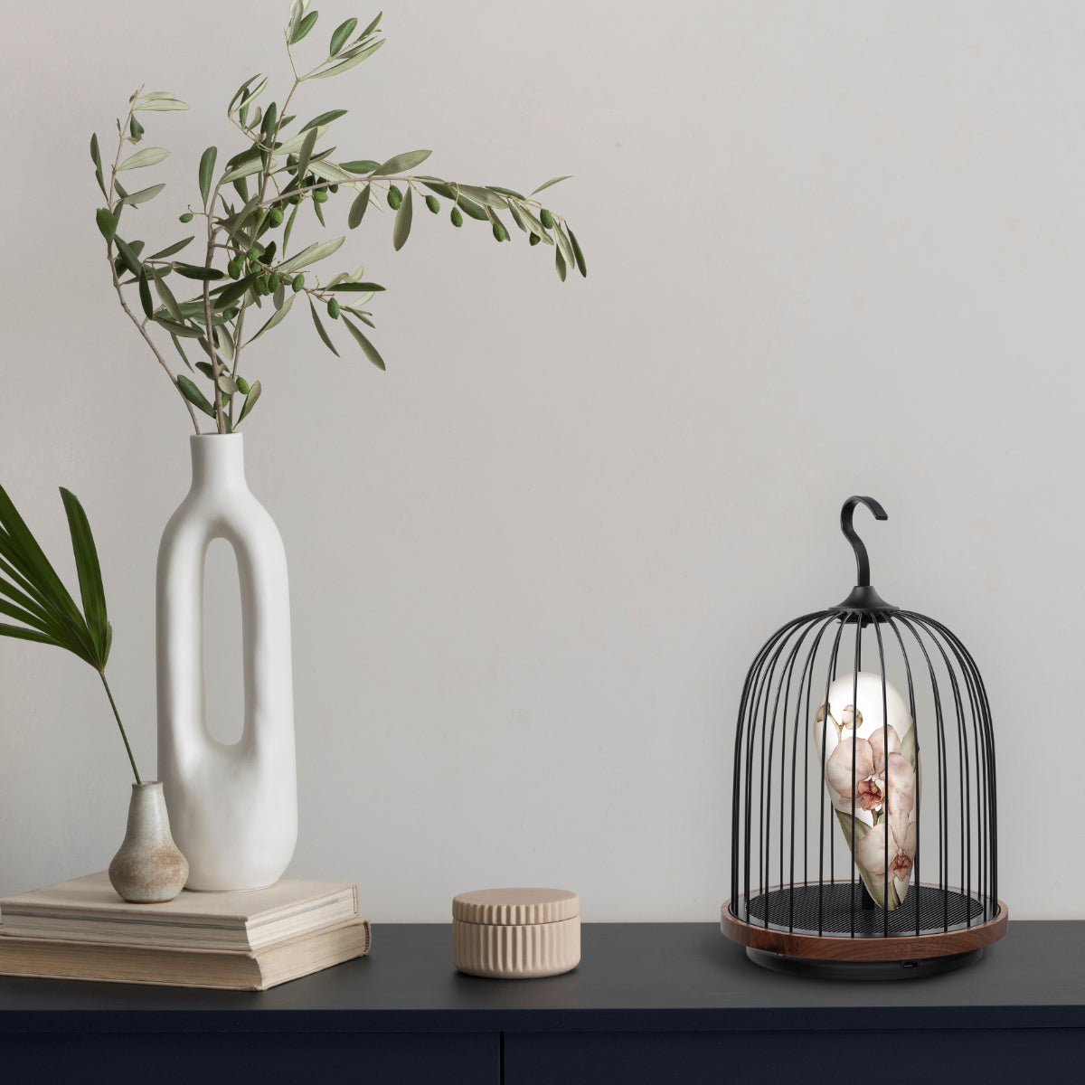 DaqiConcept JG01 Bird Cage Speaker Lamp - Vintage Bluetooth Speaker with LED Light for Home Decor, Bedroom, Living Room, and Outdoor Use