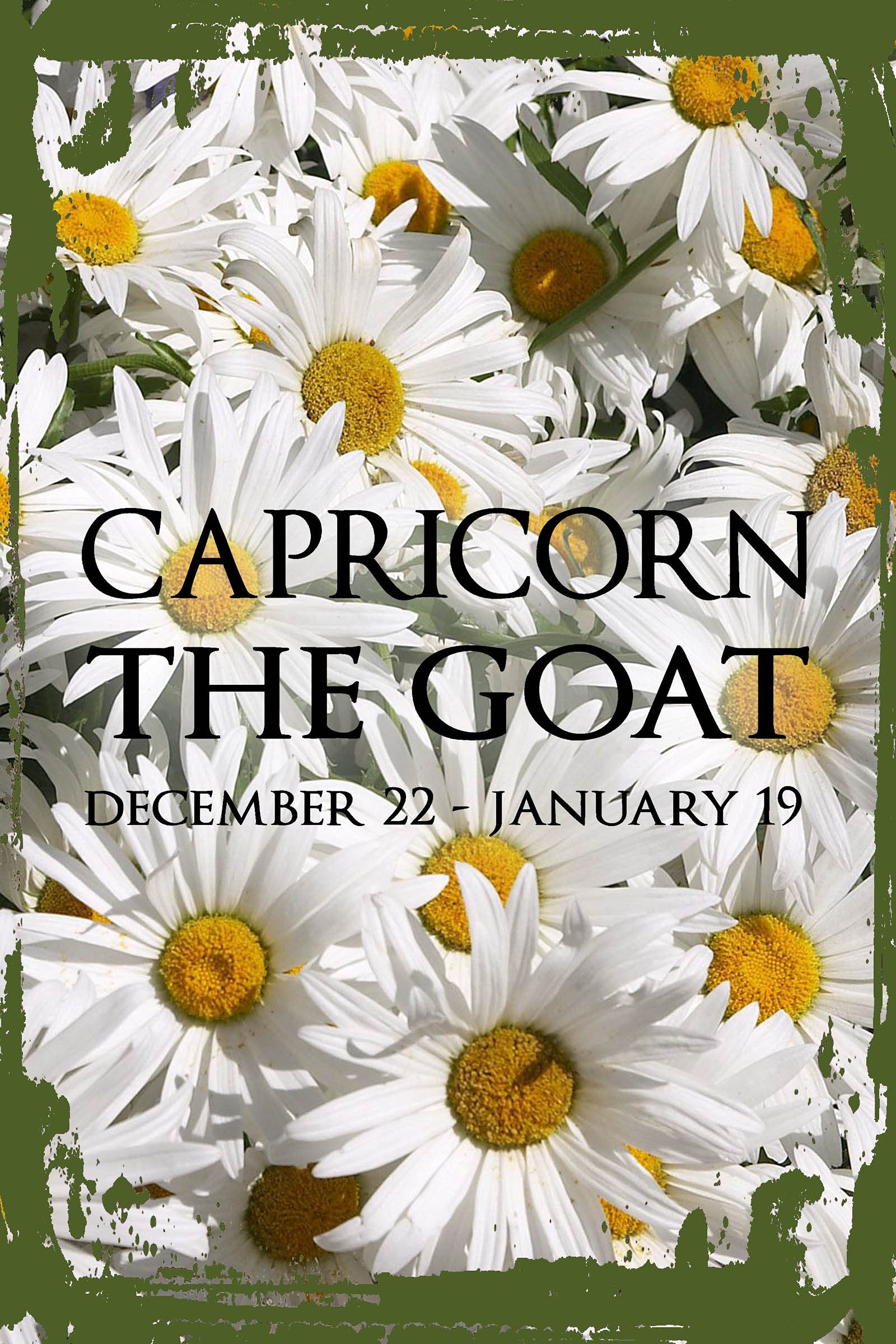 Capricorn Zodiac Wall Art - Daisy Flower Goat Sign for Dec 22-Jan 19 Birthdays, 8x12 Astrology Decor - Perfect for Home Office, Bedroom & Funny Gift Ideas