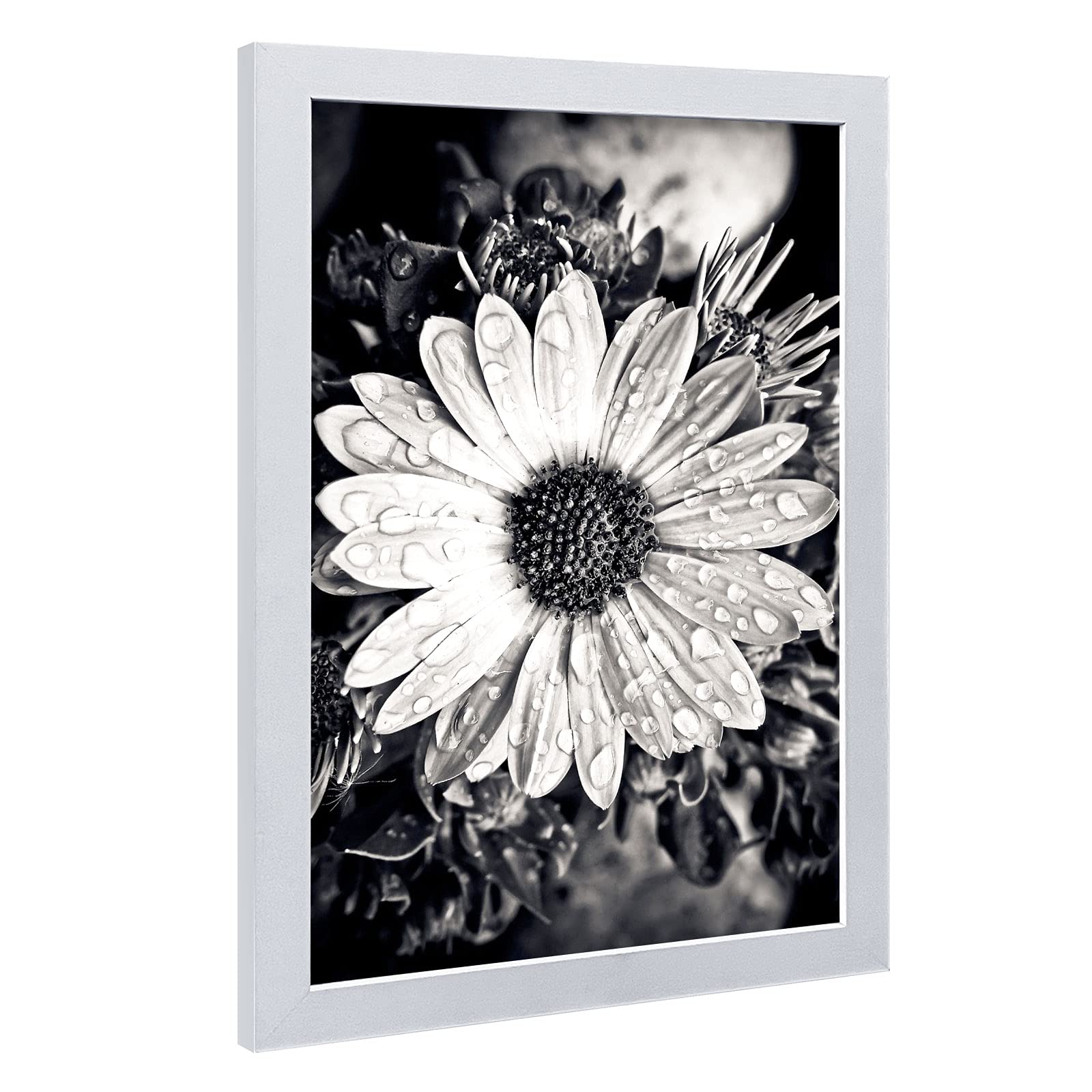 VCK 11×17 Inch Wooden Poster Frame - White Certificate Display with Shatterproof Plexiglass, Wall Mountable Picture Frame for Home Office & Gallery Decor - Perfect for Diplomas, Artwork, and Photo Displays