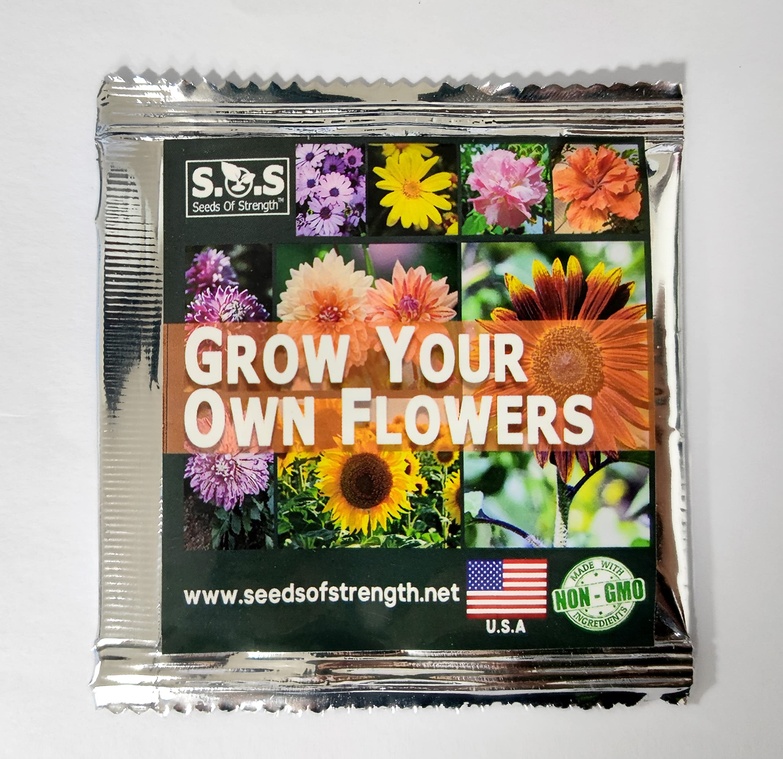 100Pcs Rare Purple Sunflower Seeds for Planting - Beautiful Daisy Garden Flowers for Home Decoration & Outdoor Landscaping