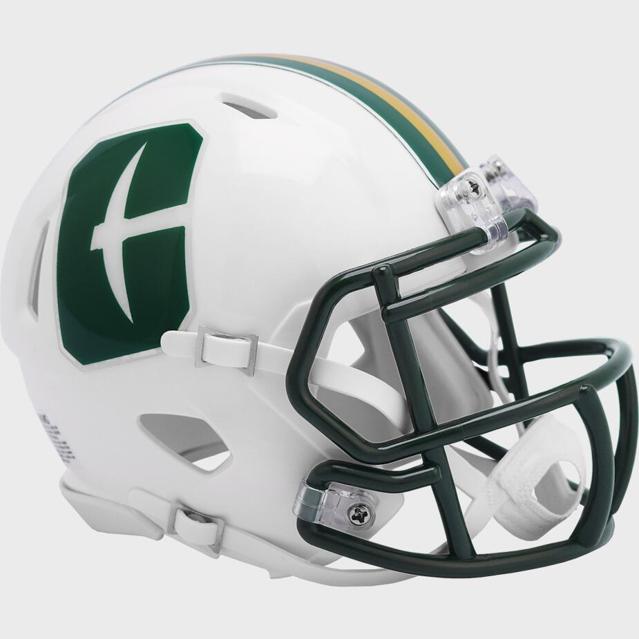 UNC Charlotte 49ers Riddell Speed Mini Helmet - Authentic College Football Collectible - Perfect for Fans, Display & Gifts