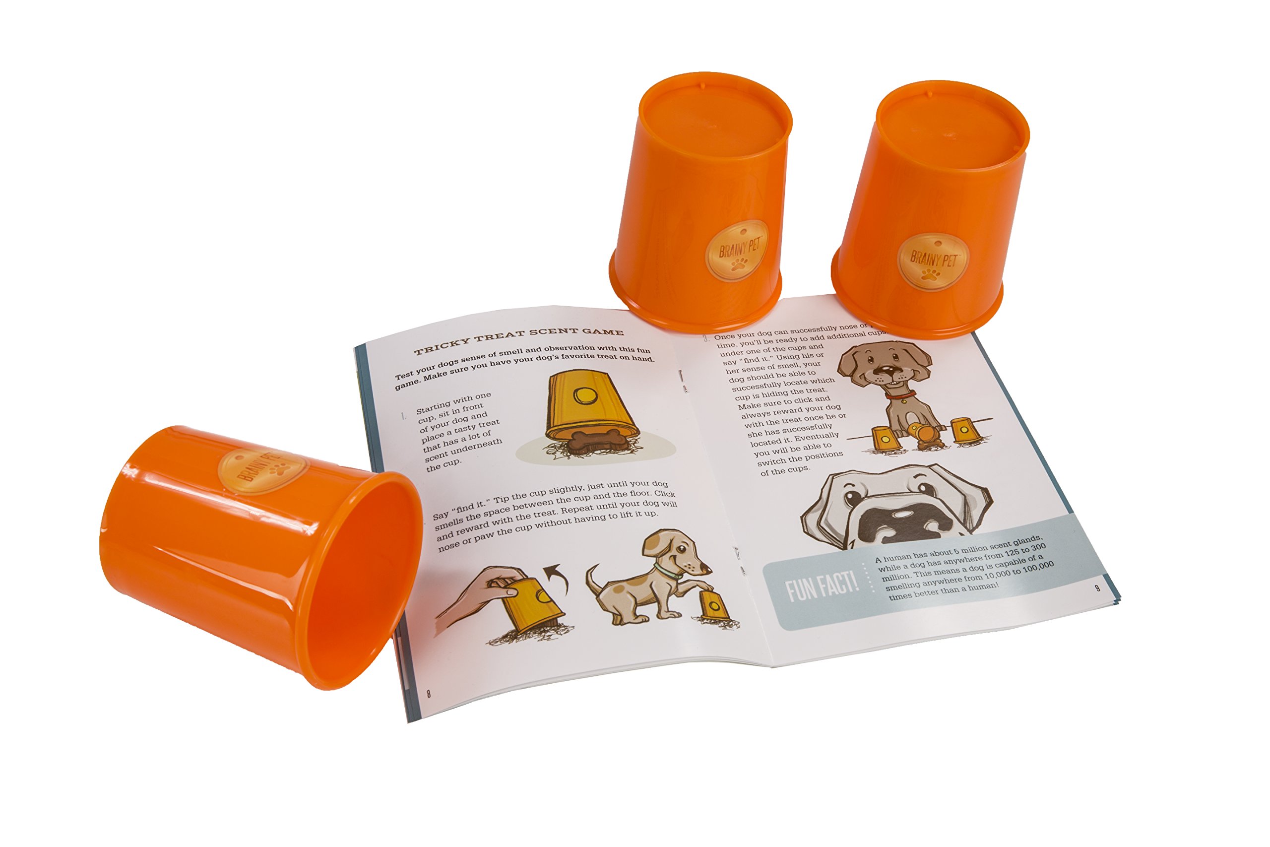 MindWare DIY Doggy Day Camp Kit - Fun & Creative Pet Activity Set for Kids & Adults - Perfect for Birthday Parties, Playdates & Indoor Pet Playtime