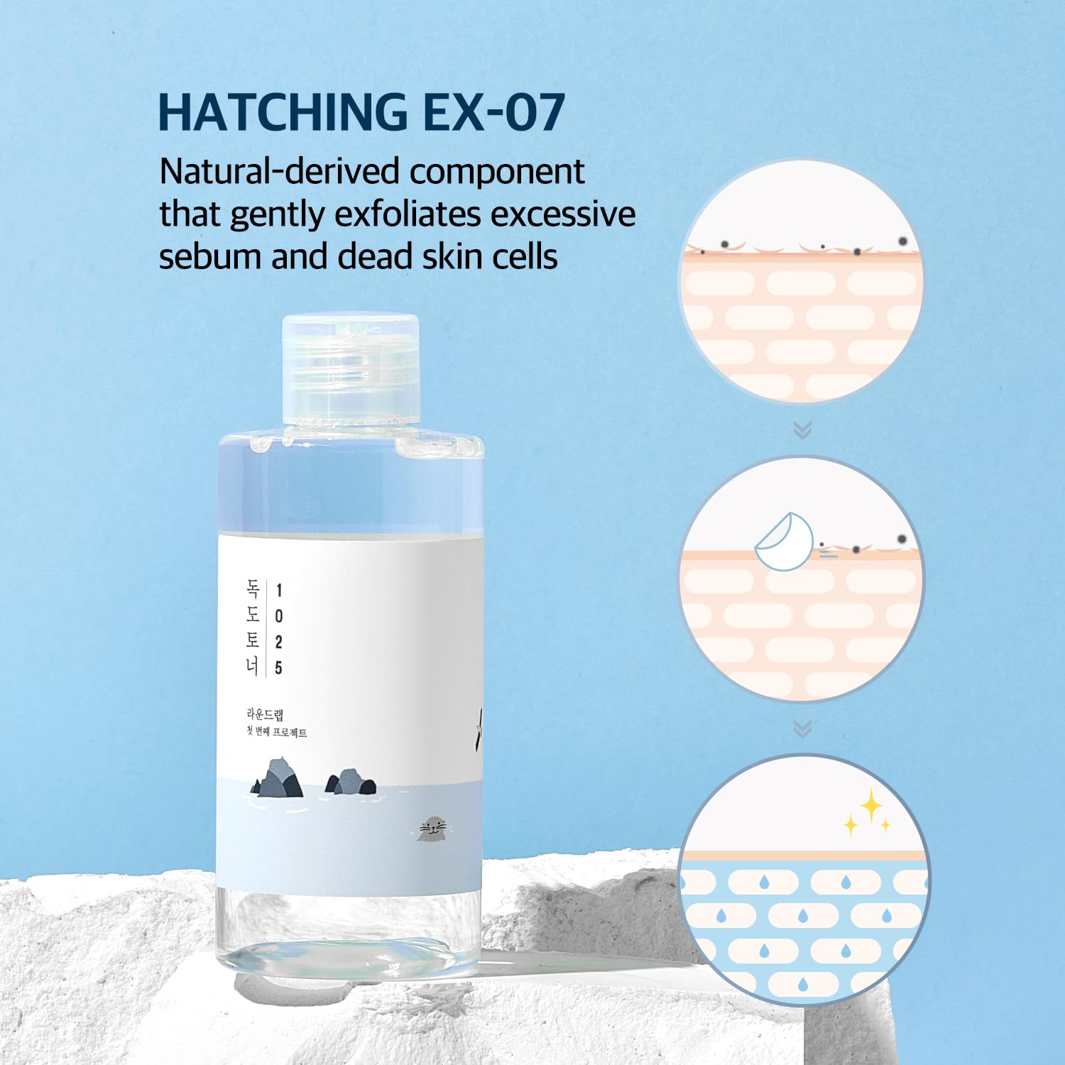 ROUND LAB 1025 Dokdo Toner 150ml + Camellia Deep Collagen Firming Mask 4pcs Set | Korean Skincare for Pore Minimizing, Hydration & Gentle Exfoliation | Soothing Facial Treatment for Dry & Sensitive Skin | Perfect for Night Routine & Post-Sun Care