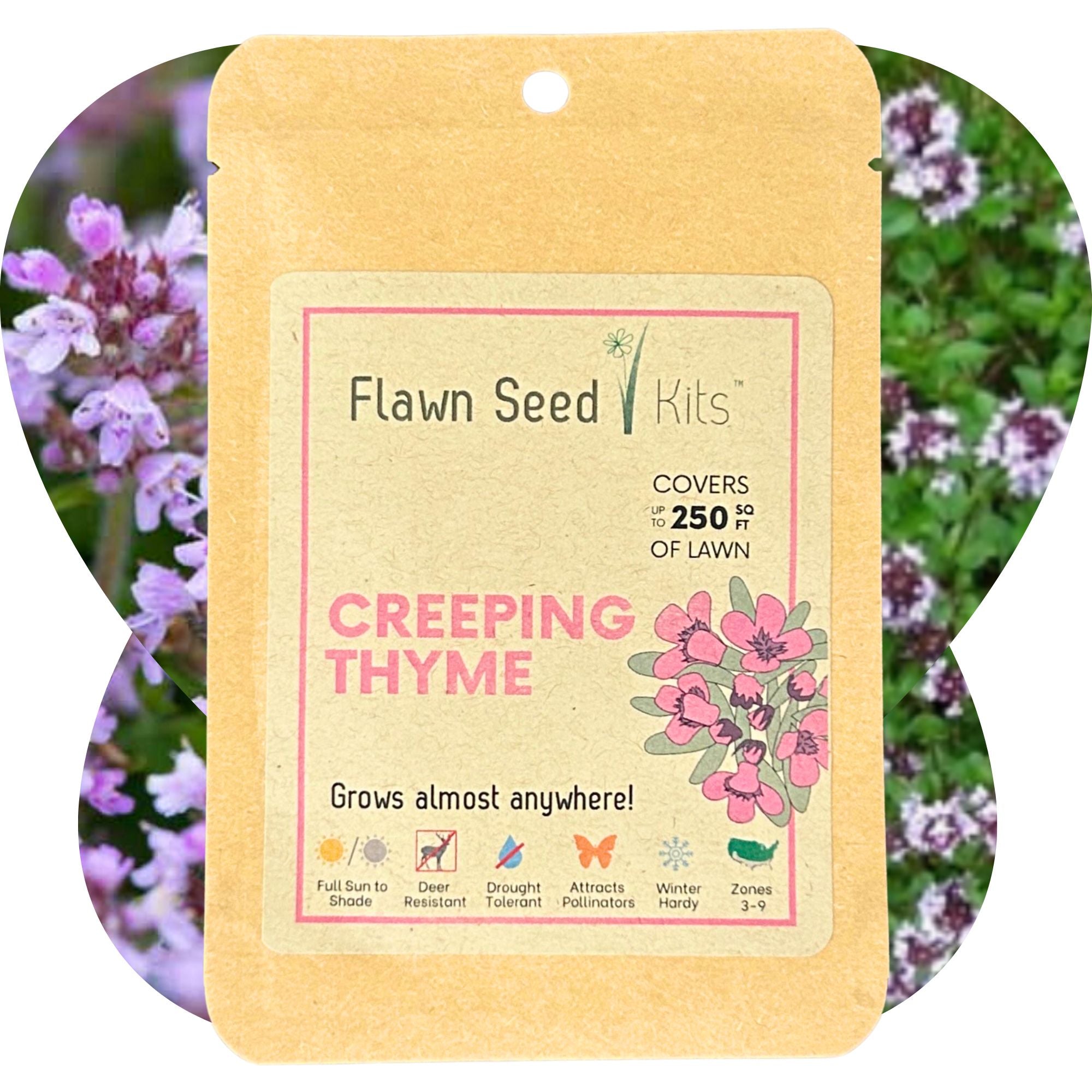 Organic Creeping Thyme Seeds for Ground Cover - Drought Resistant, Bee Friendly Lawn Alternative - Perfect for Eco Gardens, Pathways & Rock Gardens