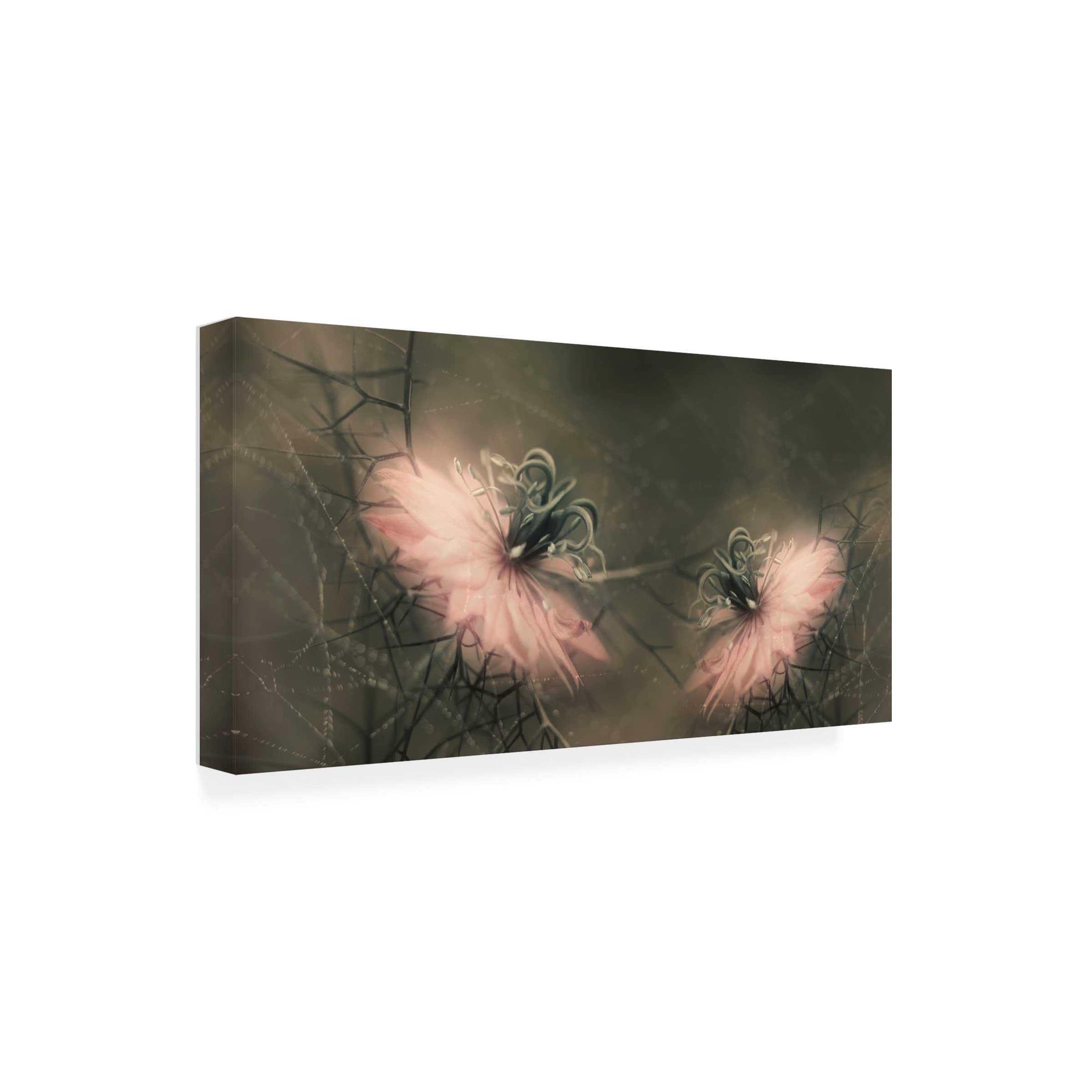 Heidi Westum 'The Virgins' Canvas Wall Art Print - Premium Gallery Wrapped Painting for Living Room, Bedroom & Office Decor