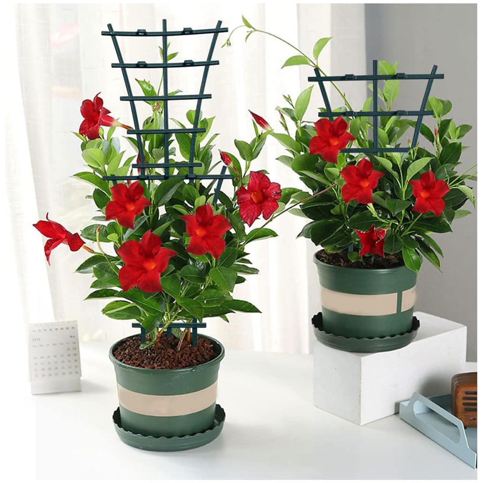 6 Pack Garden Plant Support Stakes, Plastic Trellis for Climbing Plants, Tomato Vine Support for Pots & Outdoor Use - Perfect for Tomatoes, Cucumbers, Peas & Flowering Vines in Gardens, Balconies & Patios