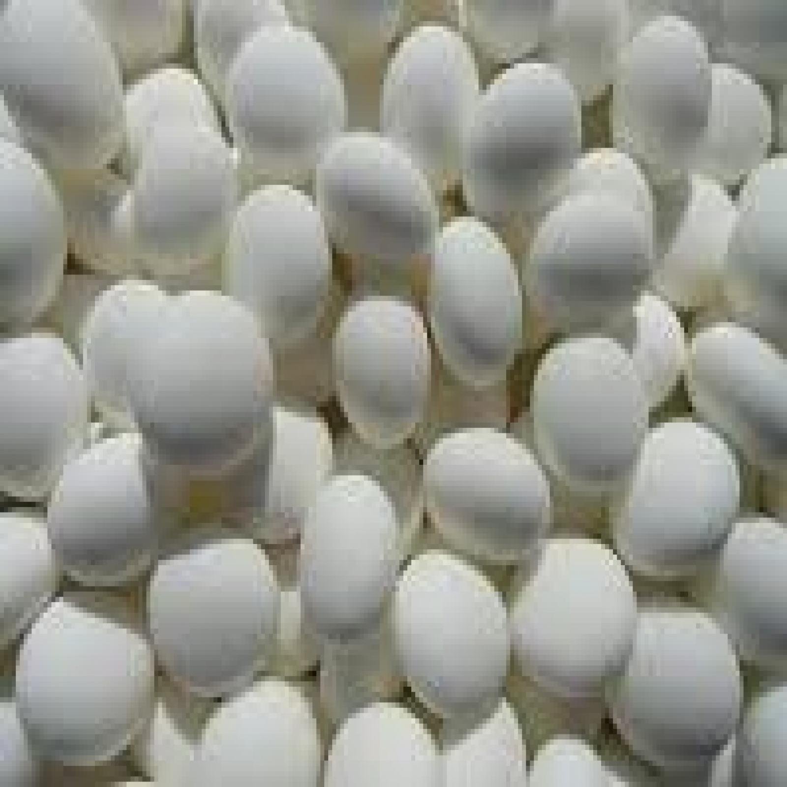 Scotch Mints Bulk 30 Lbs - Perfect for Candy Buffets, Party Favors & Baking Supplies